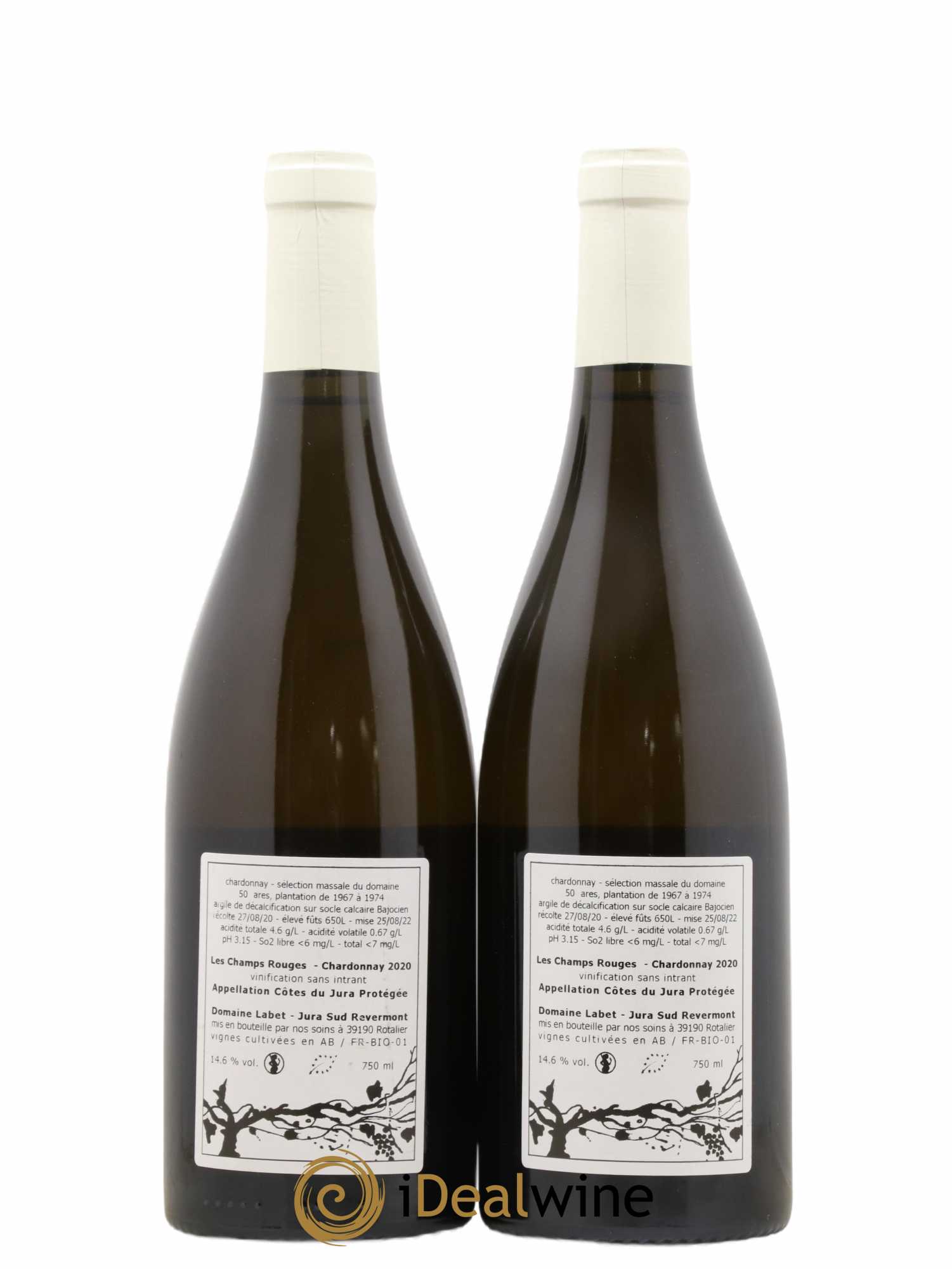 Côtes du Jura Chardonnay Les Champs Rouges Romain - Julien  - Charline Labet 2020 - Lot de 2 bouteilles - 1