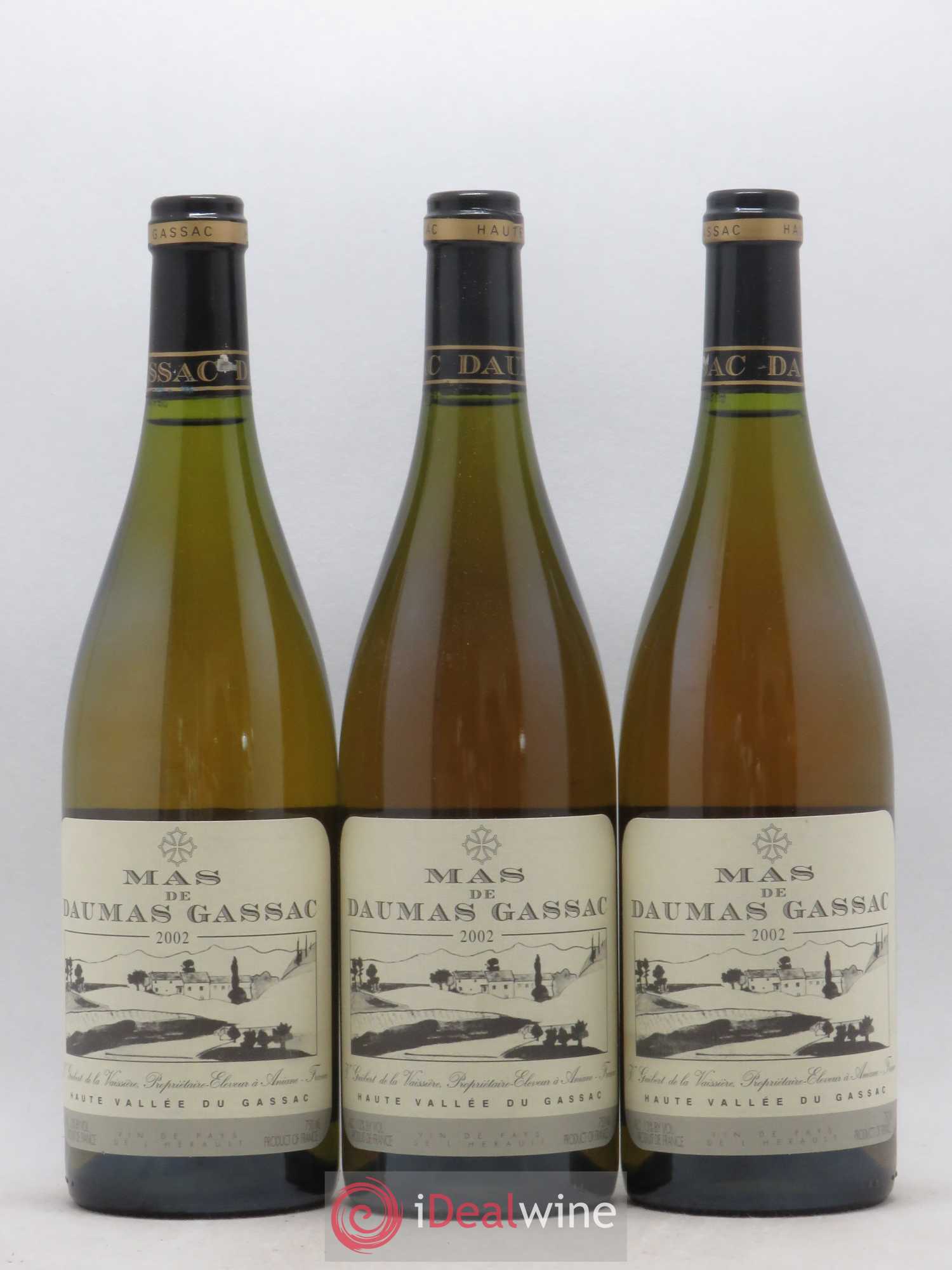 Saint-Guilhem-le-Désert - Cité d'Aniane Mas Daumas Gassac Famille Guibert de La Vaissière 2002 - Lot de 12 bouteilles - 4