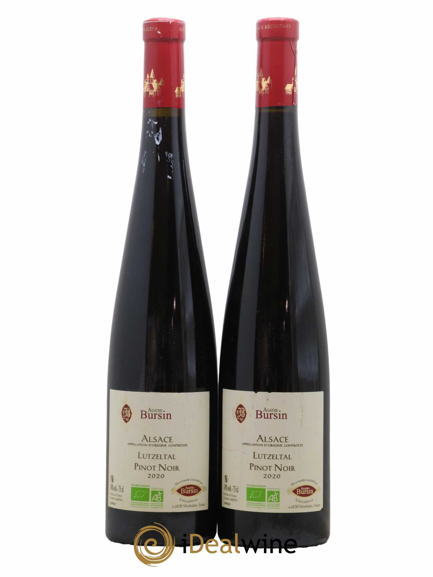 Alsace Pinot noir Lutzeltal Agathe Bursin 2020 - Lot de 2 bouteilles - 0