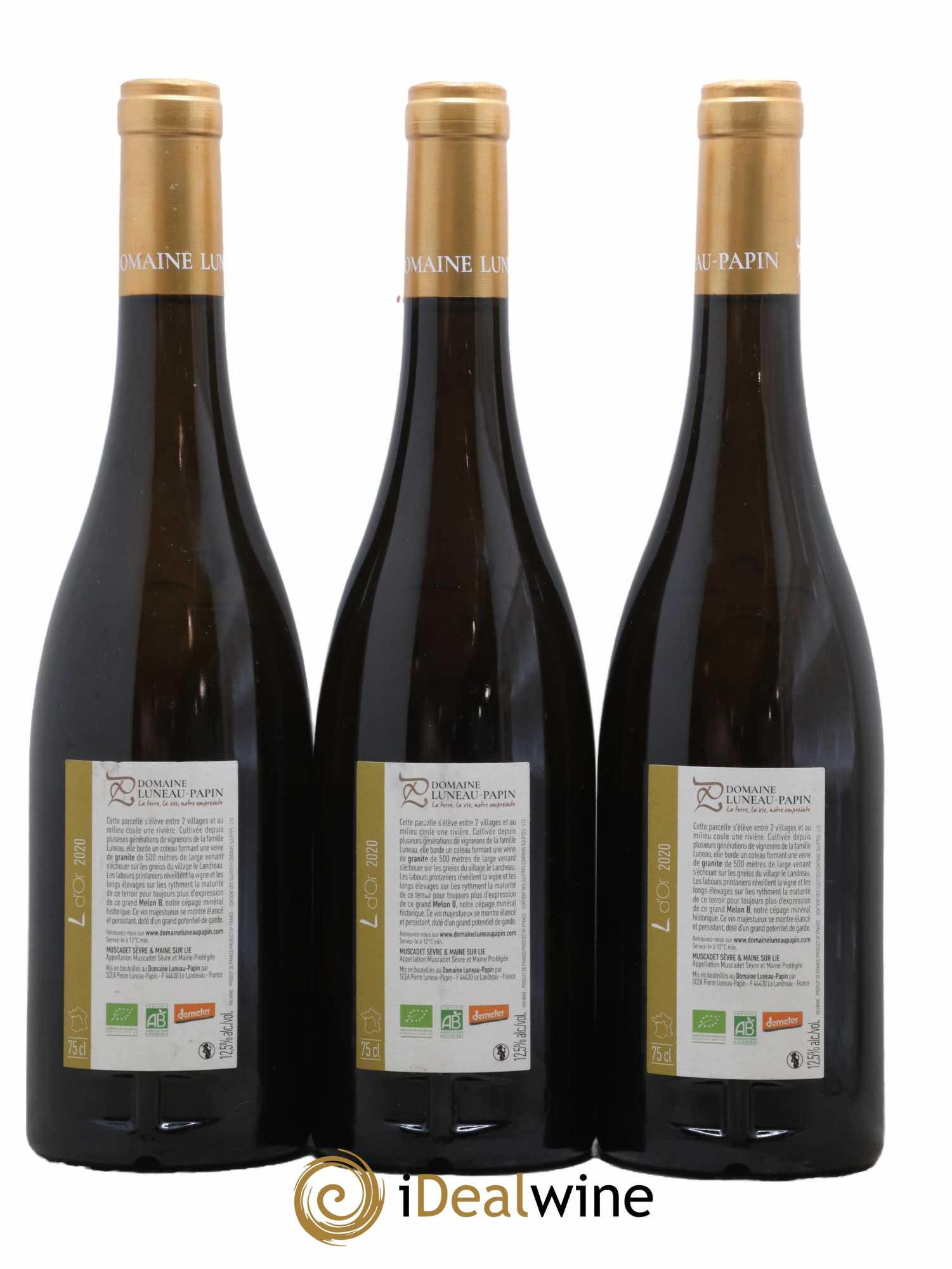 Muscadet-Sèvre-et-Maine L D'Or Luneau-Papin 2020 - Lot de 3 bouteilles - 1