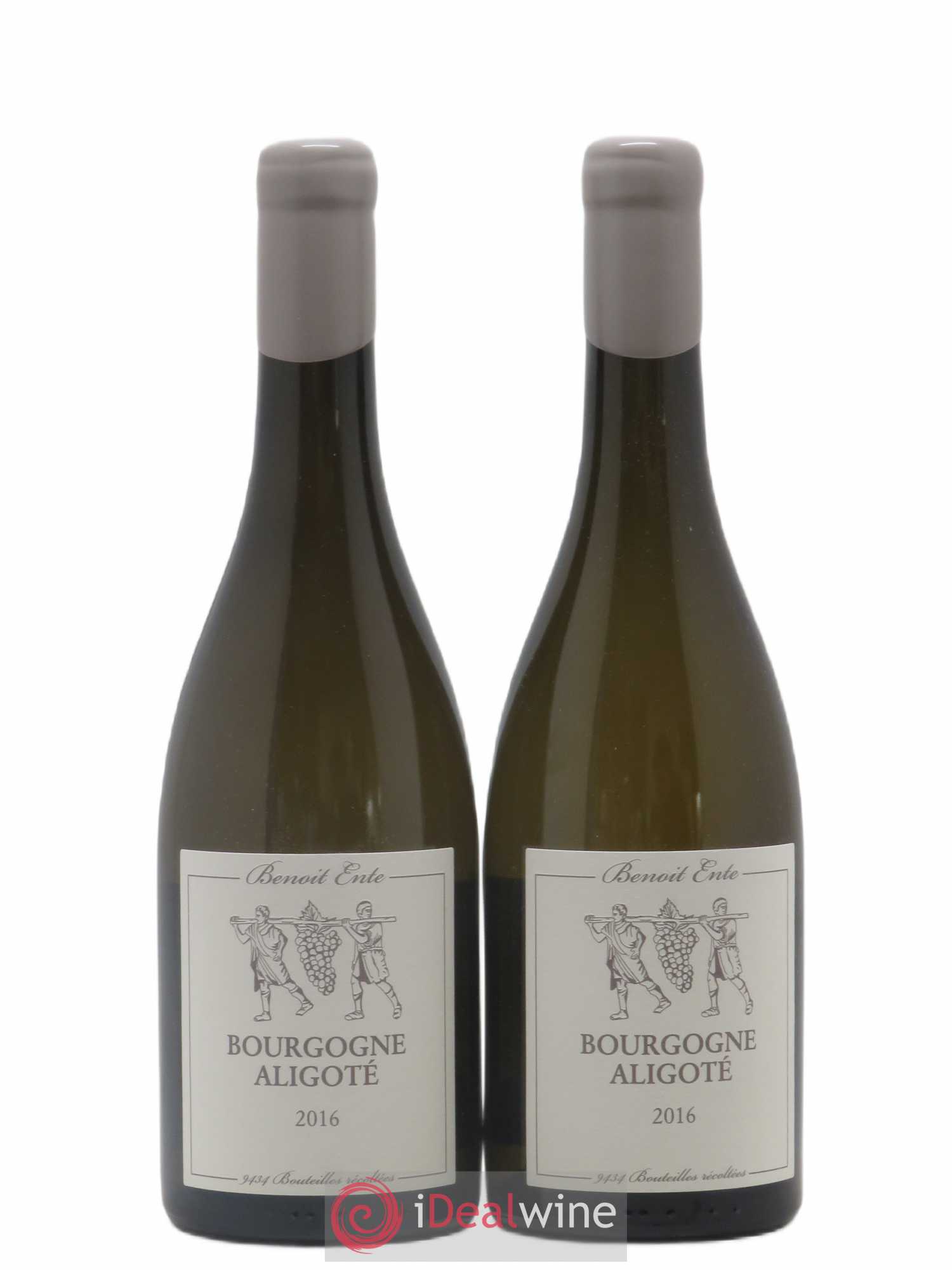 Bourgogne Aligoté Benoit Ente (sans prix de réserve) 2016 - Lot de 2 bouteilles - 0