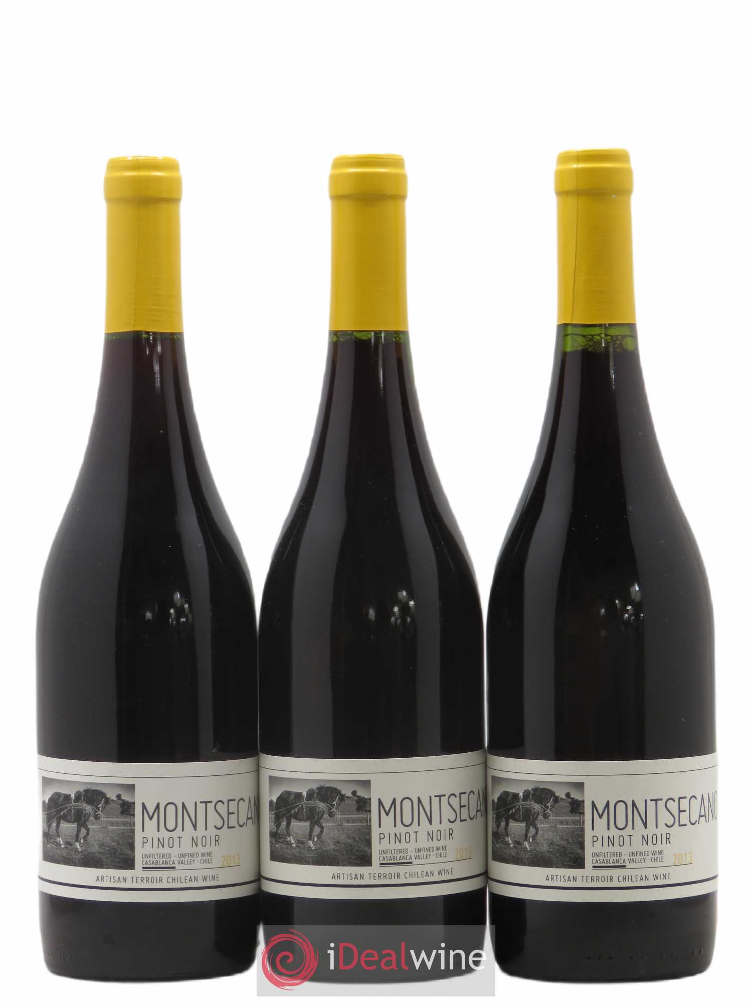Chili Montsecano Andre Ostertag (sans prix de réserve) 2013 - Posten von 3 Flaschen - 0