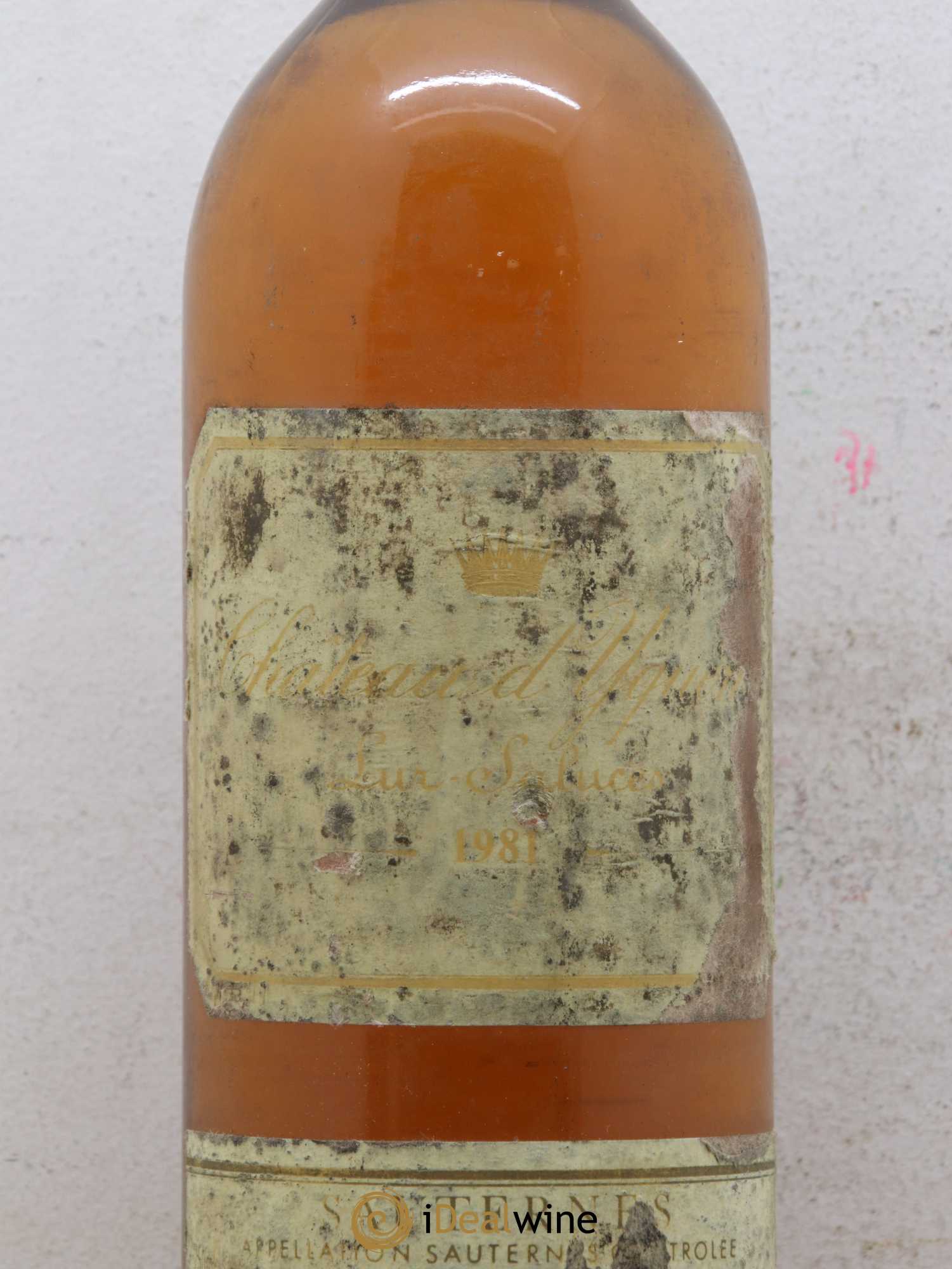 Château d' Yquem 1er Cru Classé Supérieur 1981 - Lotto di 2 bottiglie - 1
