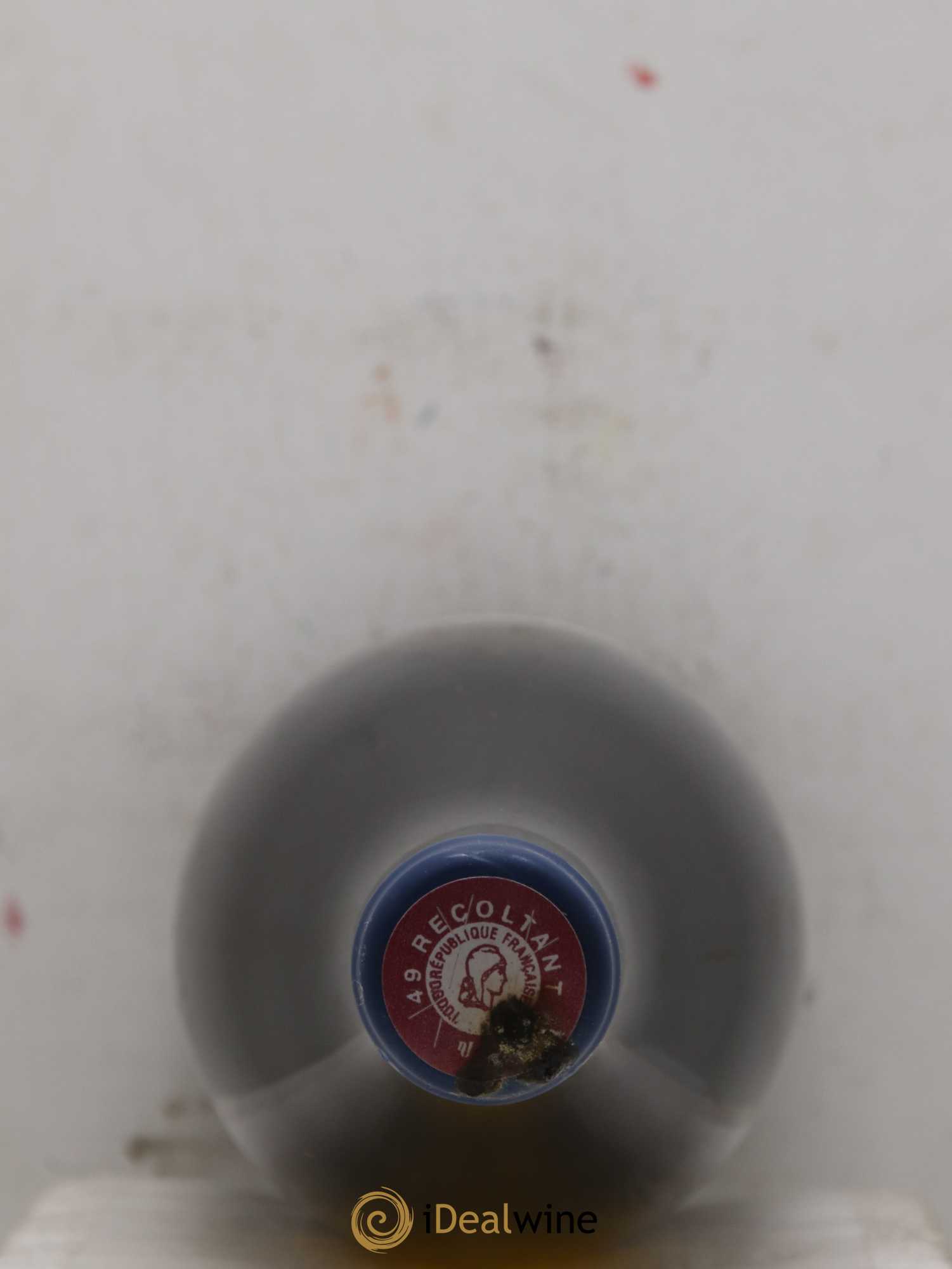 Vin de France Les Nourrissons Stéphane Bernaudeau 2019 - Lot de 2 bouteilles - 1