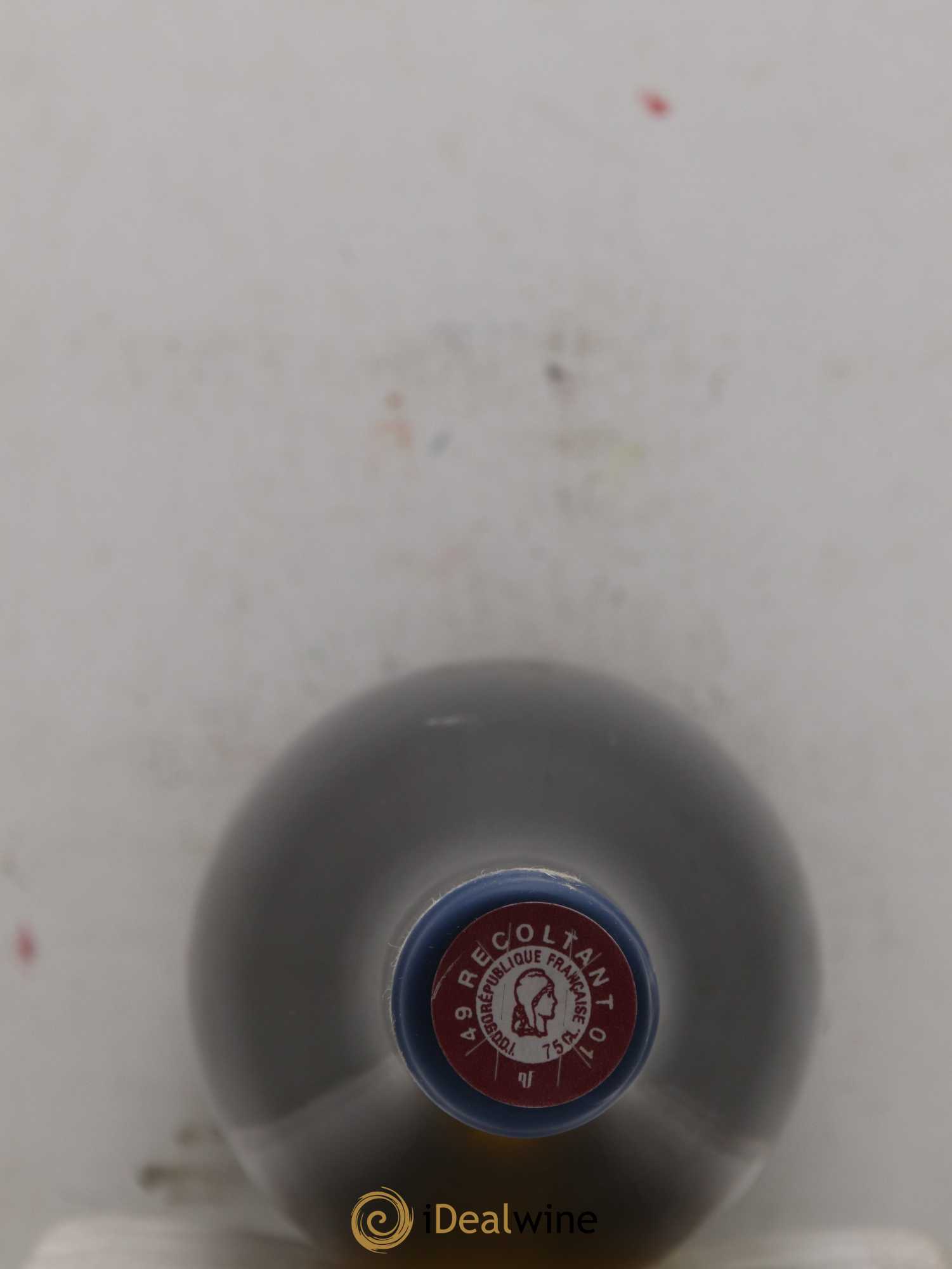Vin de France Les Nourrissons Stéphane Bernaudeau 2020 - Lot de 3 bouteilles - 1