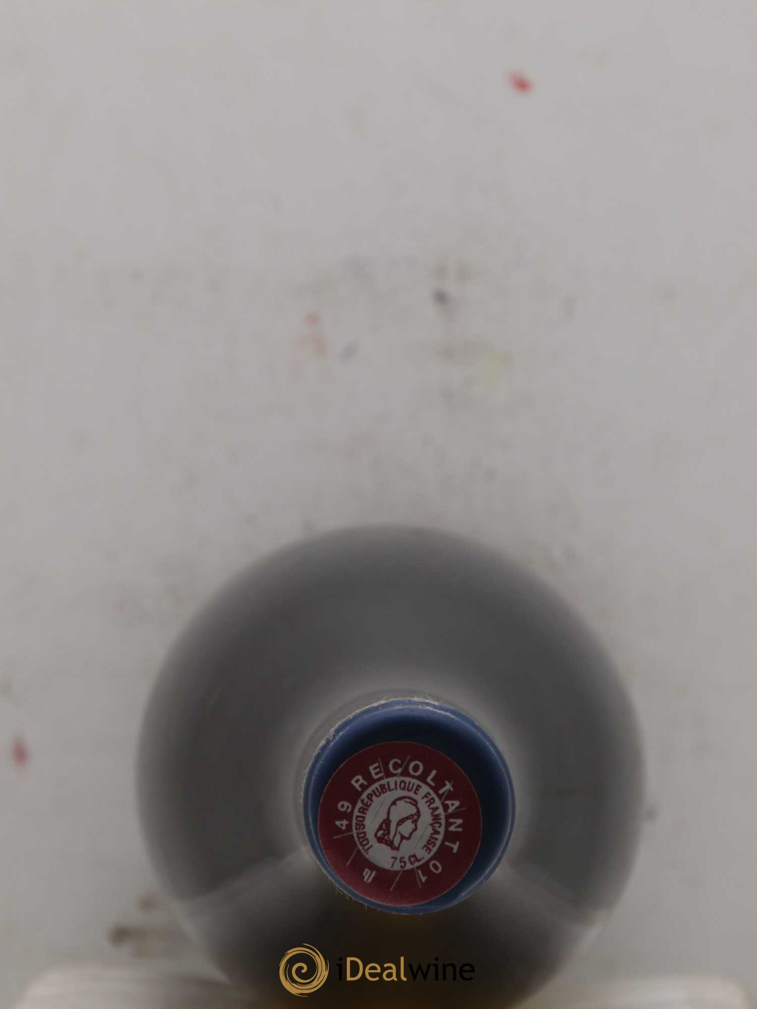 Vin de France Les Nourrissons Stéphane Bernaudeau 2020 - Lot de 2 bouteilles - 1