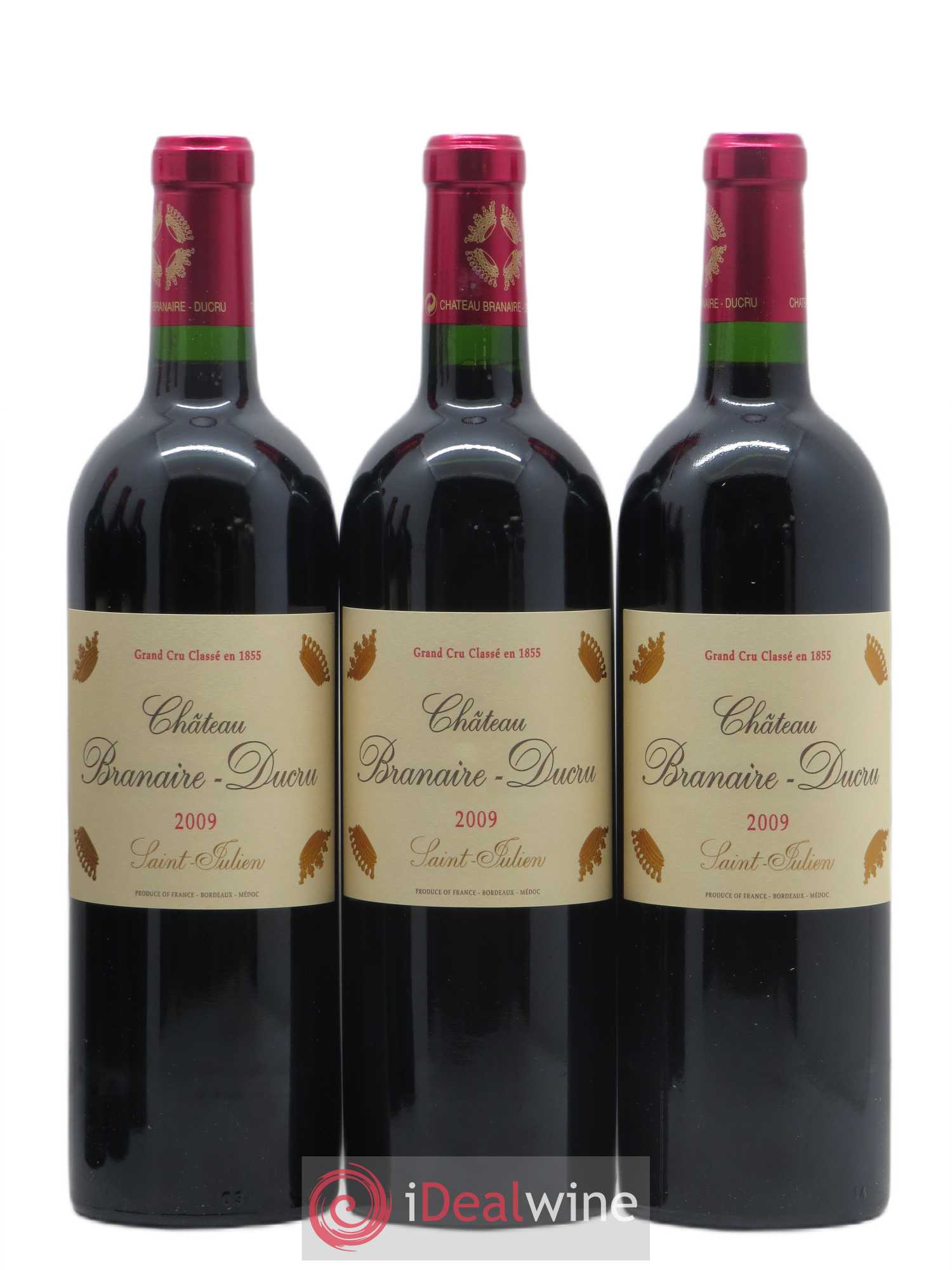 Château Branaire Ducru 4ème Grand Cru Classé 2009 - Lot de 12 bouteilles - 3