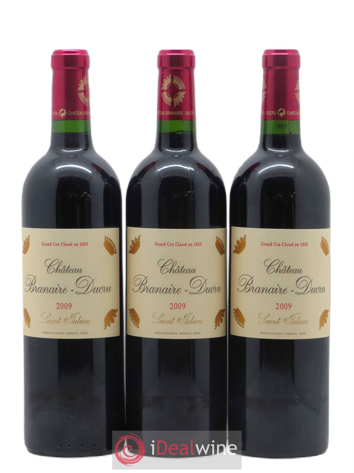 Château Branaire Ducru 4ème Grand Cru Classé 2009 - Lot de 12 bouteilles - 4