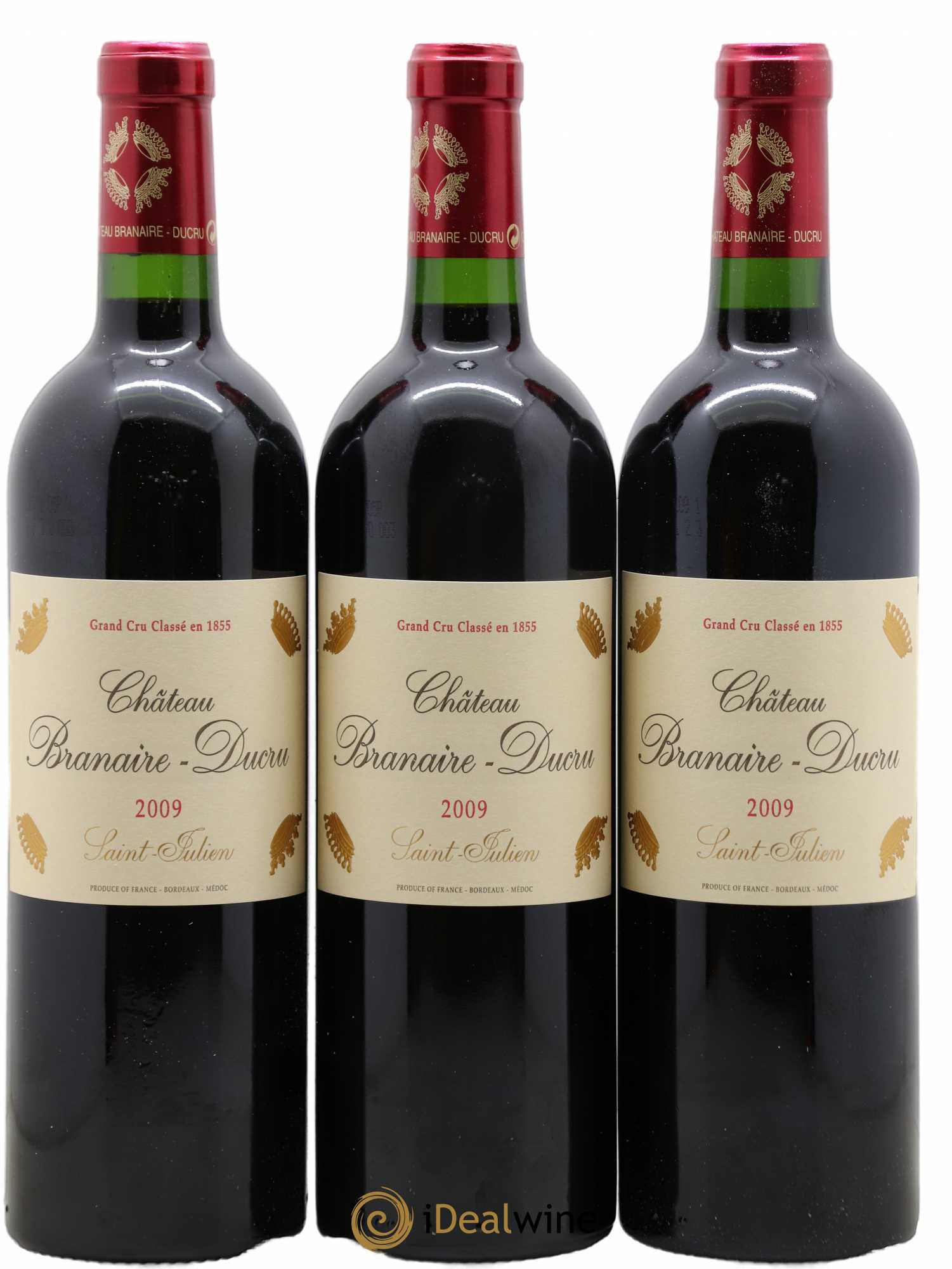 Château Branaire Ducru 4ème Grand Cru Classé 2009 - Lot de 12 bouteilles - 1
