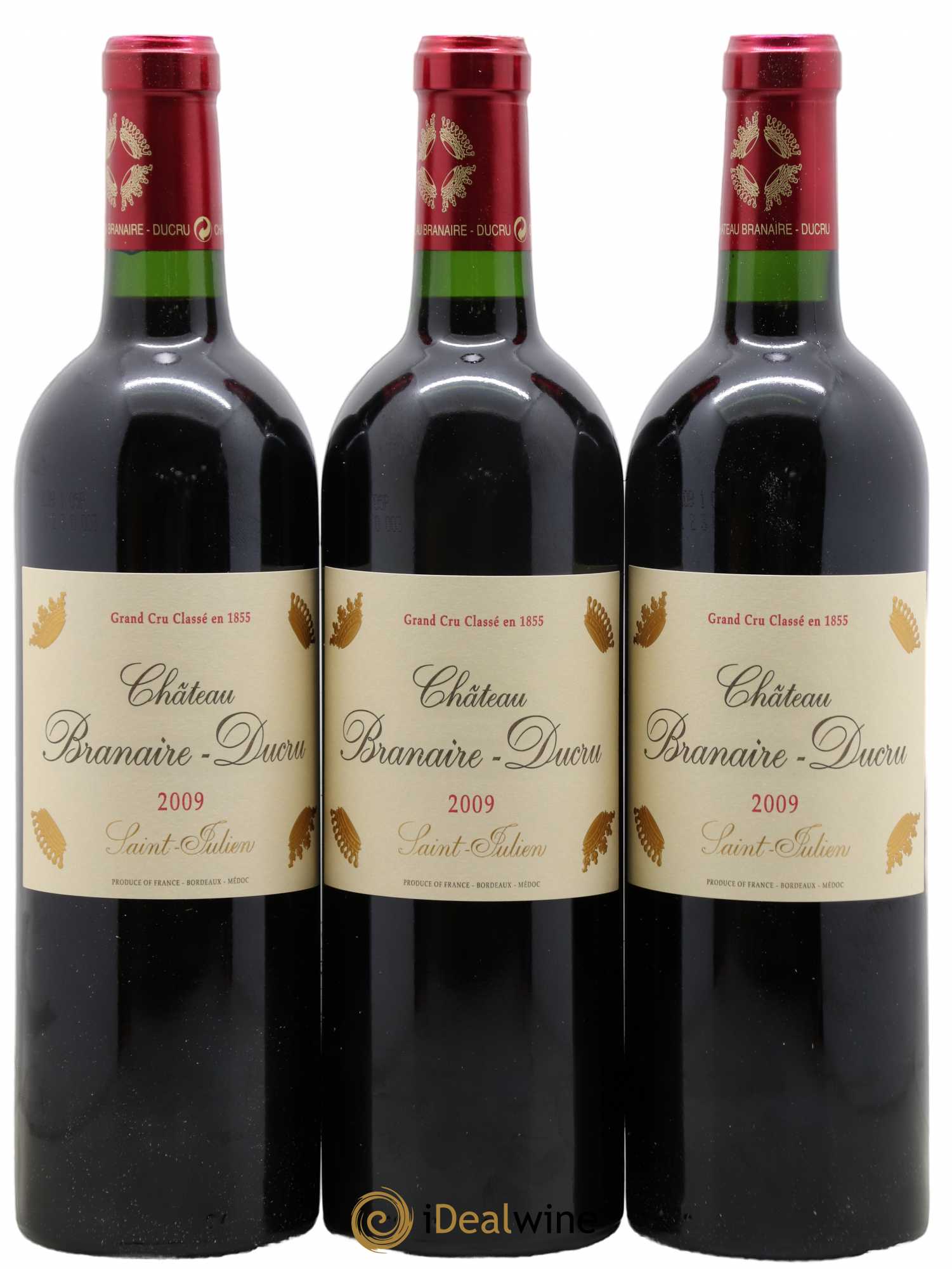 Château Branaire Ducru 4ème Grand Cru Classé 2009 - Lot de 12 bouteilles - 4