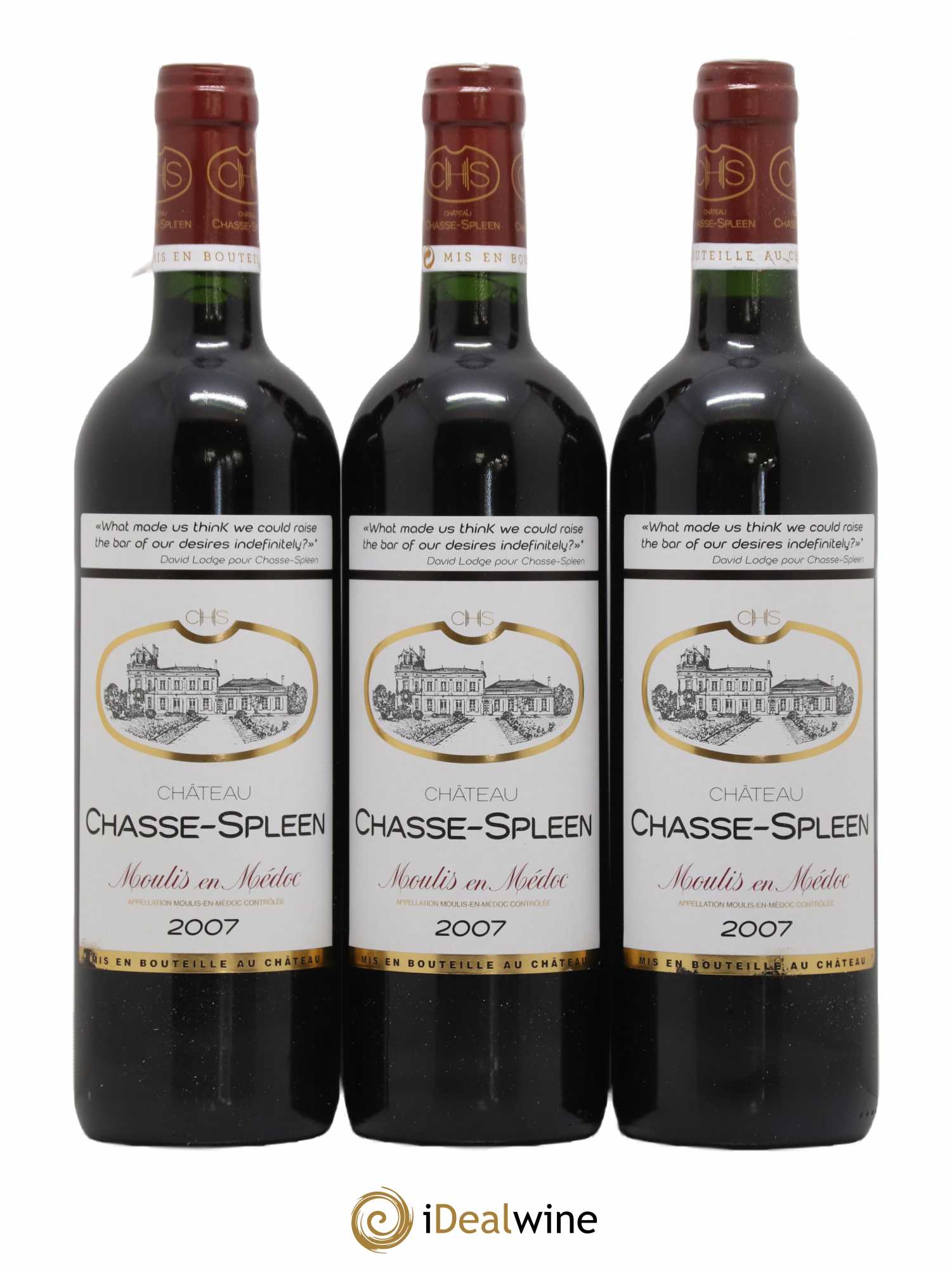 Château Chasse Spleen 2007 - Lot de 12 bouteilles - 4