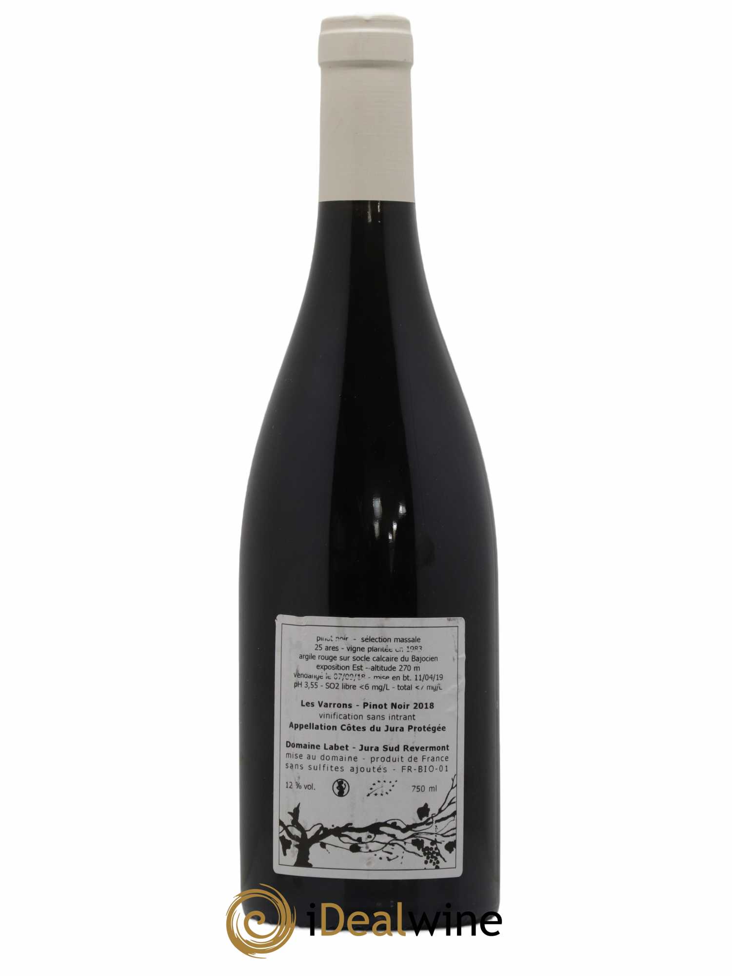 Côtes du Jura Pinot Noir Les Varrons Sélection Massale Romain - Julien - Charline Labet Massale 2018 - Lot de 1 bouteille - 1