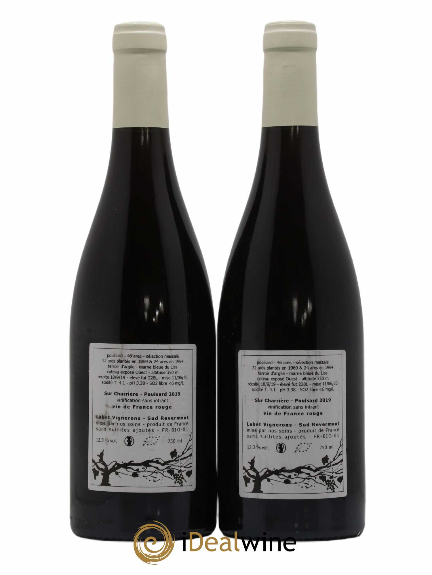 Côtes du Jura Poulsard Sur Charrière Romain - Julien - Charline Labet 2019 - Lot de 2 bouteilles - 1