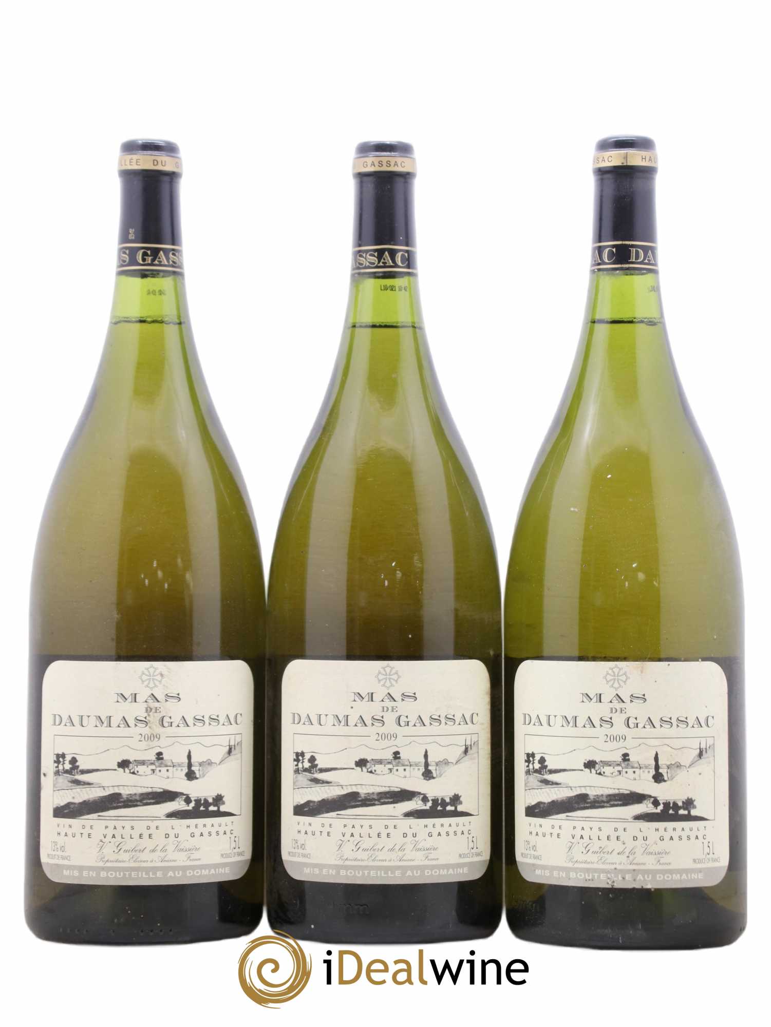 Saint-Guilhem-le-Désert - Cité d'Aniane Mas Daumas Gassac Famille Guibert de La Vaissière 2009 - Lot de 3 magnums - 0