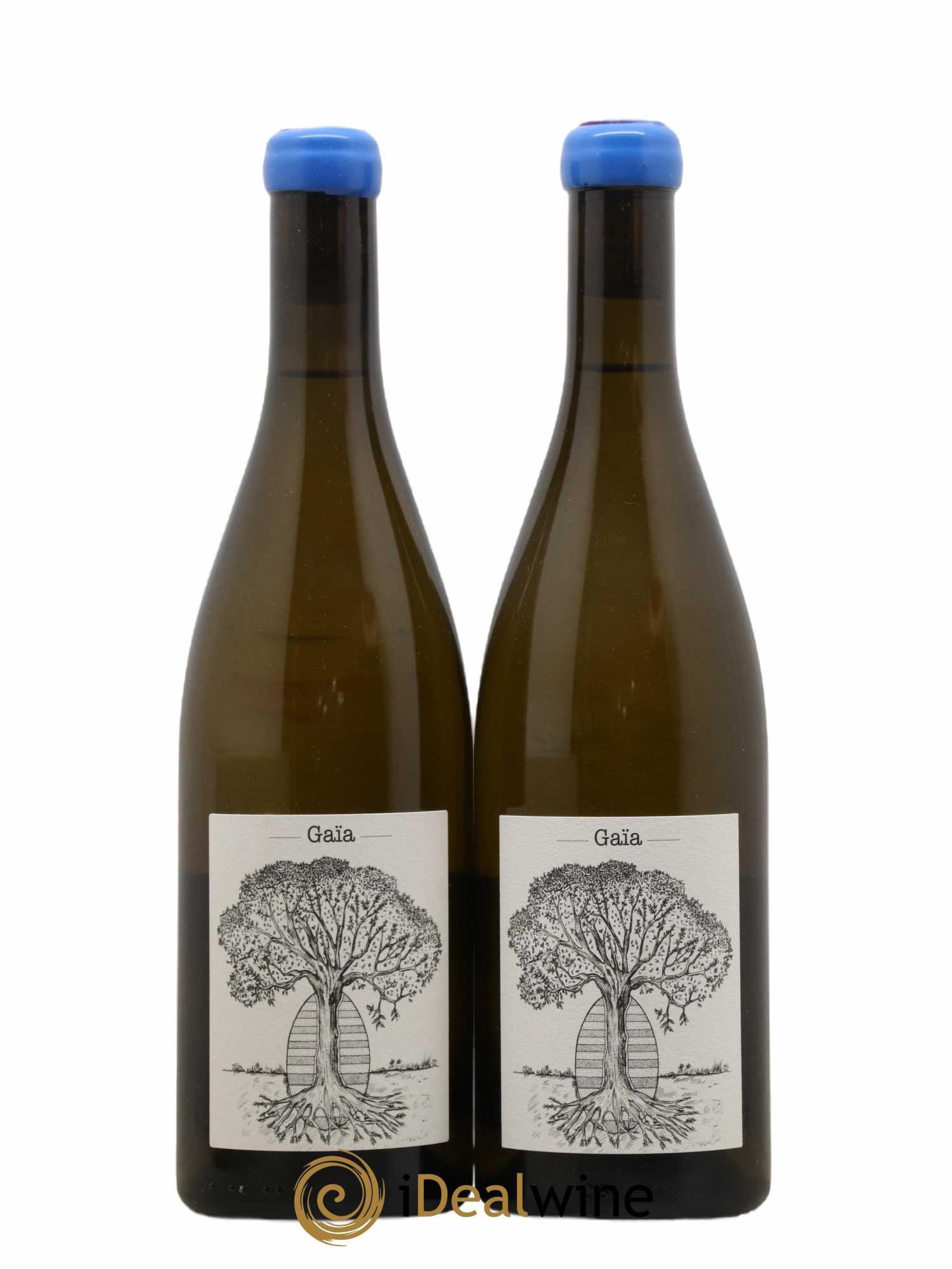 Muscadet-Sèvre-et-Maine Gaia Jérôme Bretaudeau - Domaine de Bellevue (sans prix de réserve) 2020 - Lot de 2 bouteilles - 0