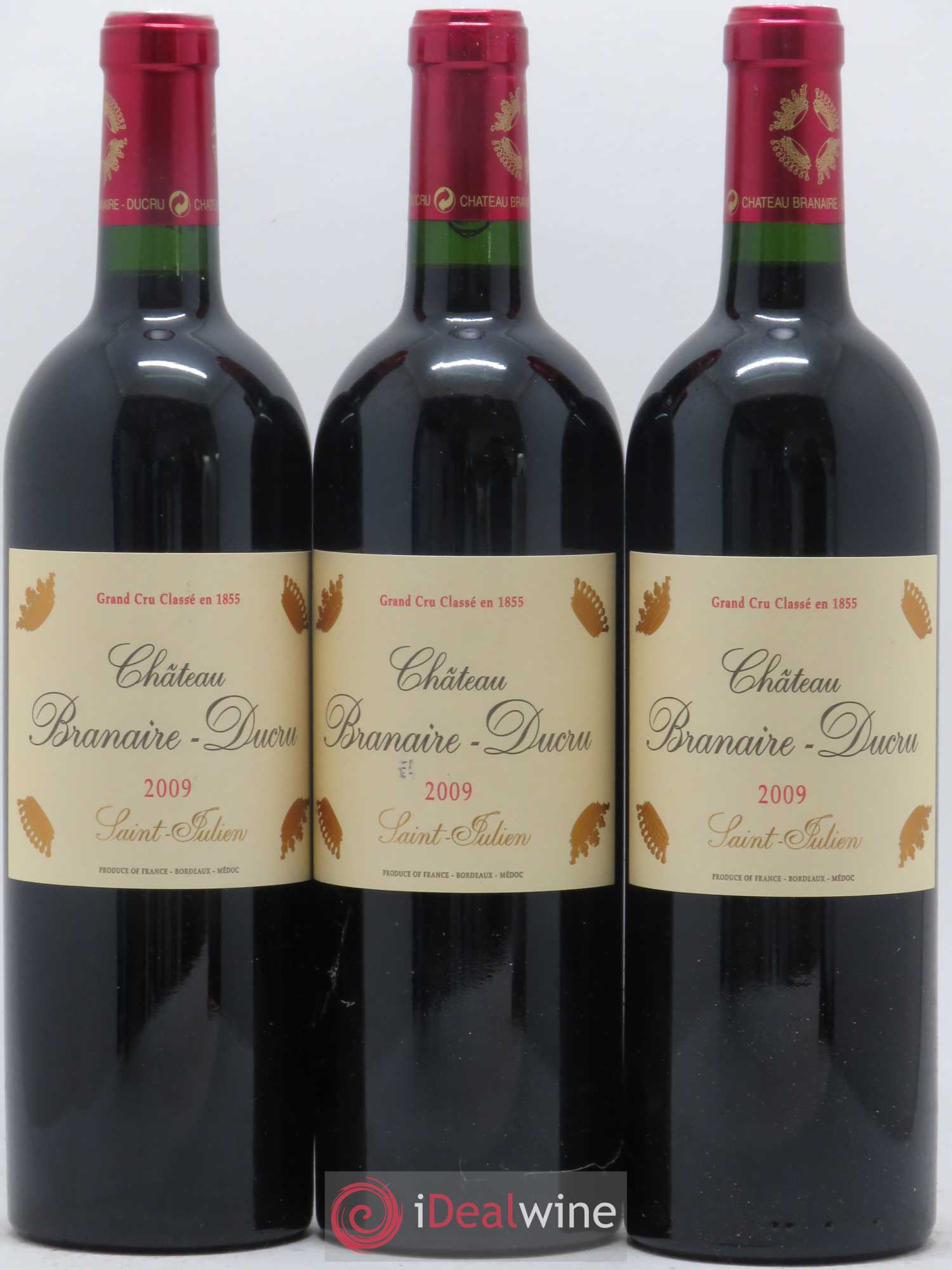 Château Branaire Ducru 4ème Grand Cru Classé 2009 - Lot de 12 bouteilles - 4