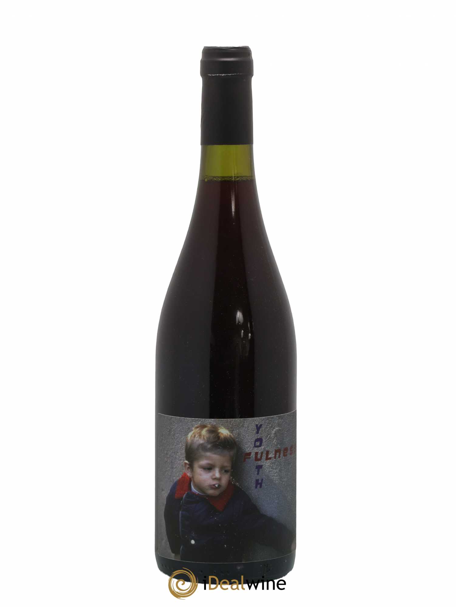 Vin de France Youthfulness Verre de Terre Benoit Rosenberger 2019 - Lot de 1 bouteille - 0