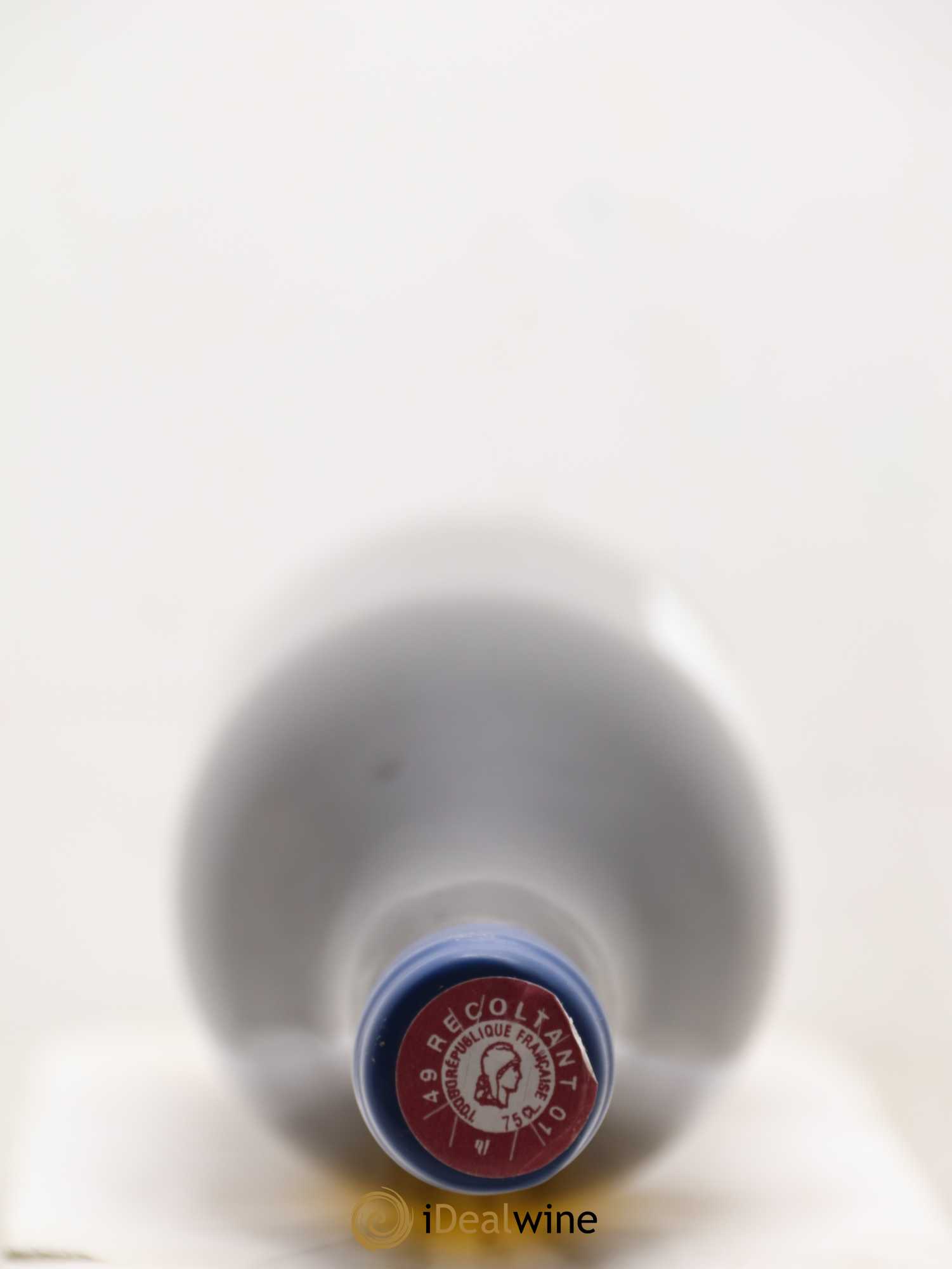 Vin de France Les Nourrissons Stéphane Bernaudeau 2019 - Lot de 1 bouteille - 1