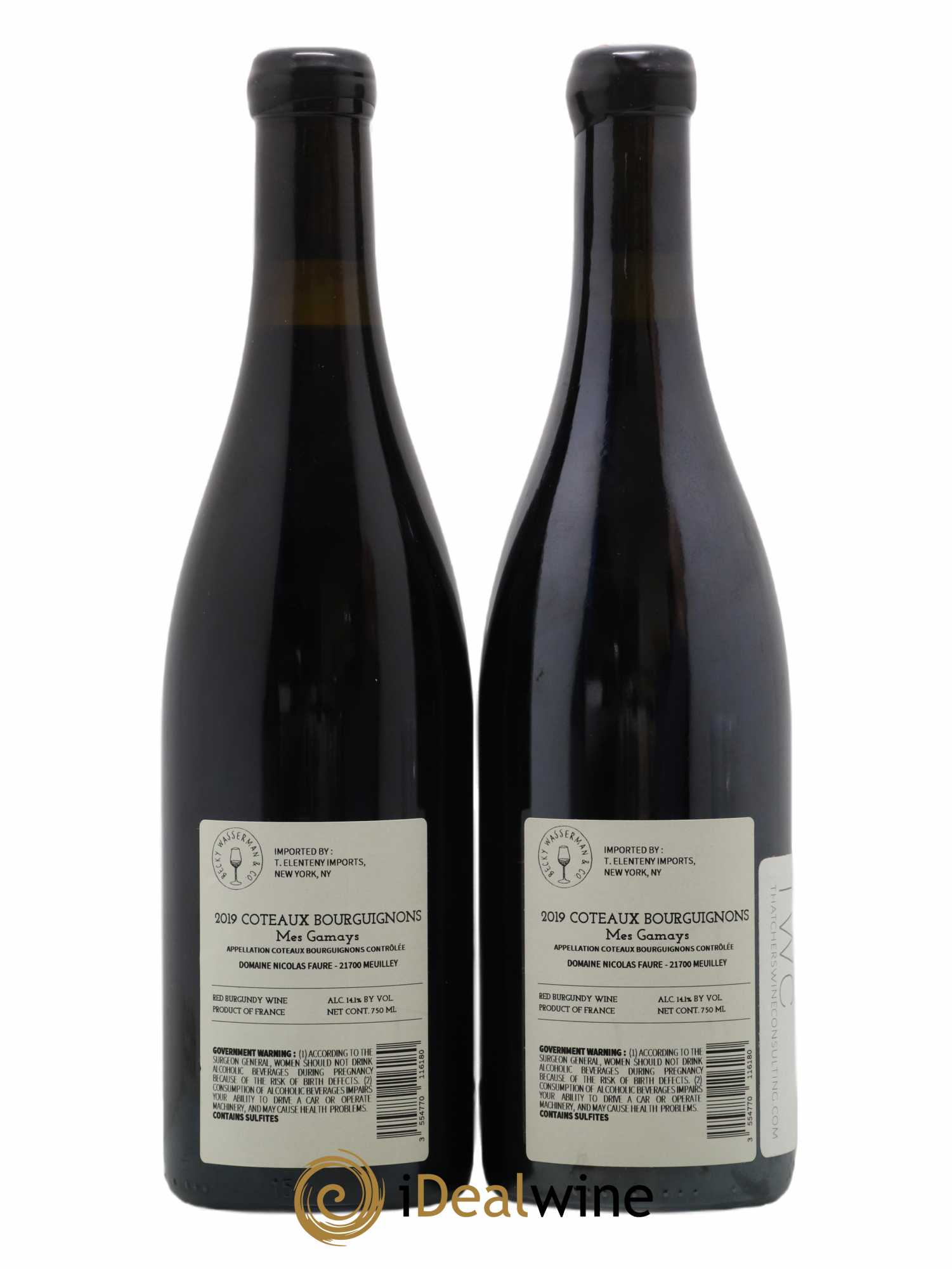 Coteaux Bourguignons Mes Gamays Nicolas Faure 2019 - Lot de 2 bouteilles - 1