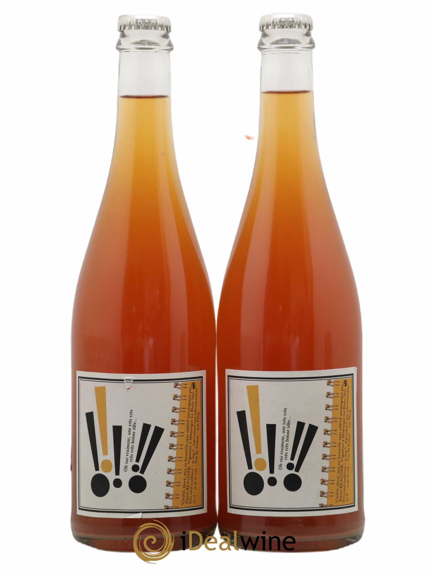 Vin de France Oh oui vraiment une très très très très bonne idée Pierre Beauger 2016 - Lot de 2 bouteilles - 0