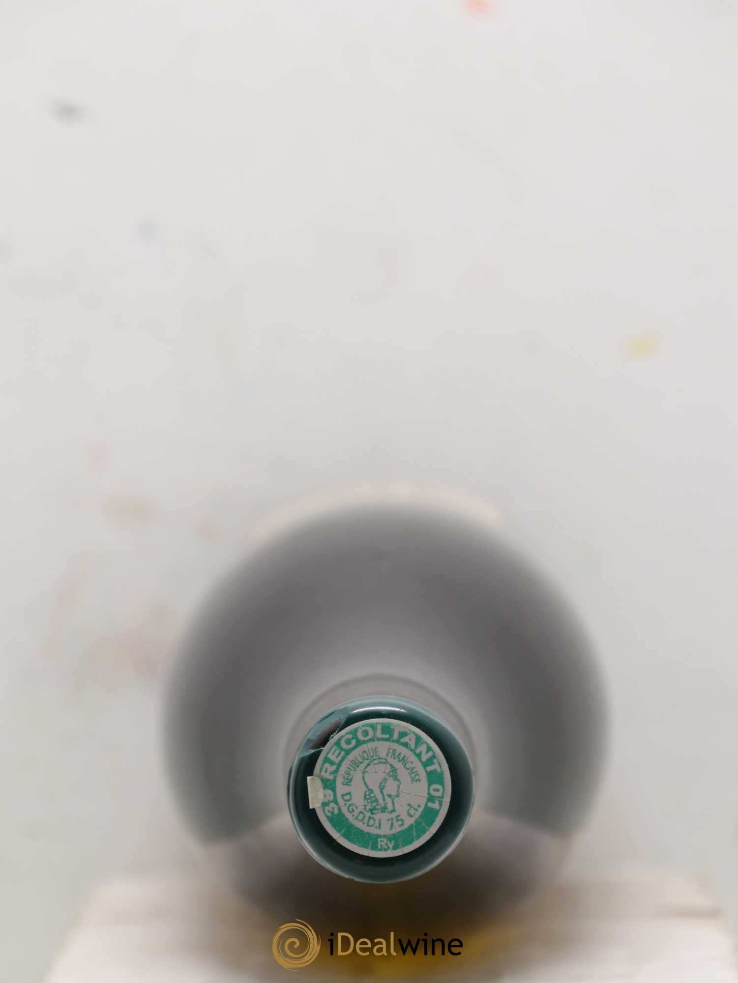 Arbois Chardonnay Savagnin Les Tourillons Adeline Houillon & Renaud Bruyère 2016 - Lot of 2 bottles - 2