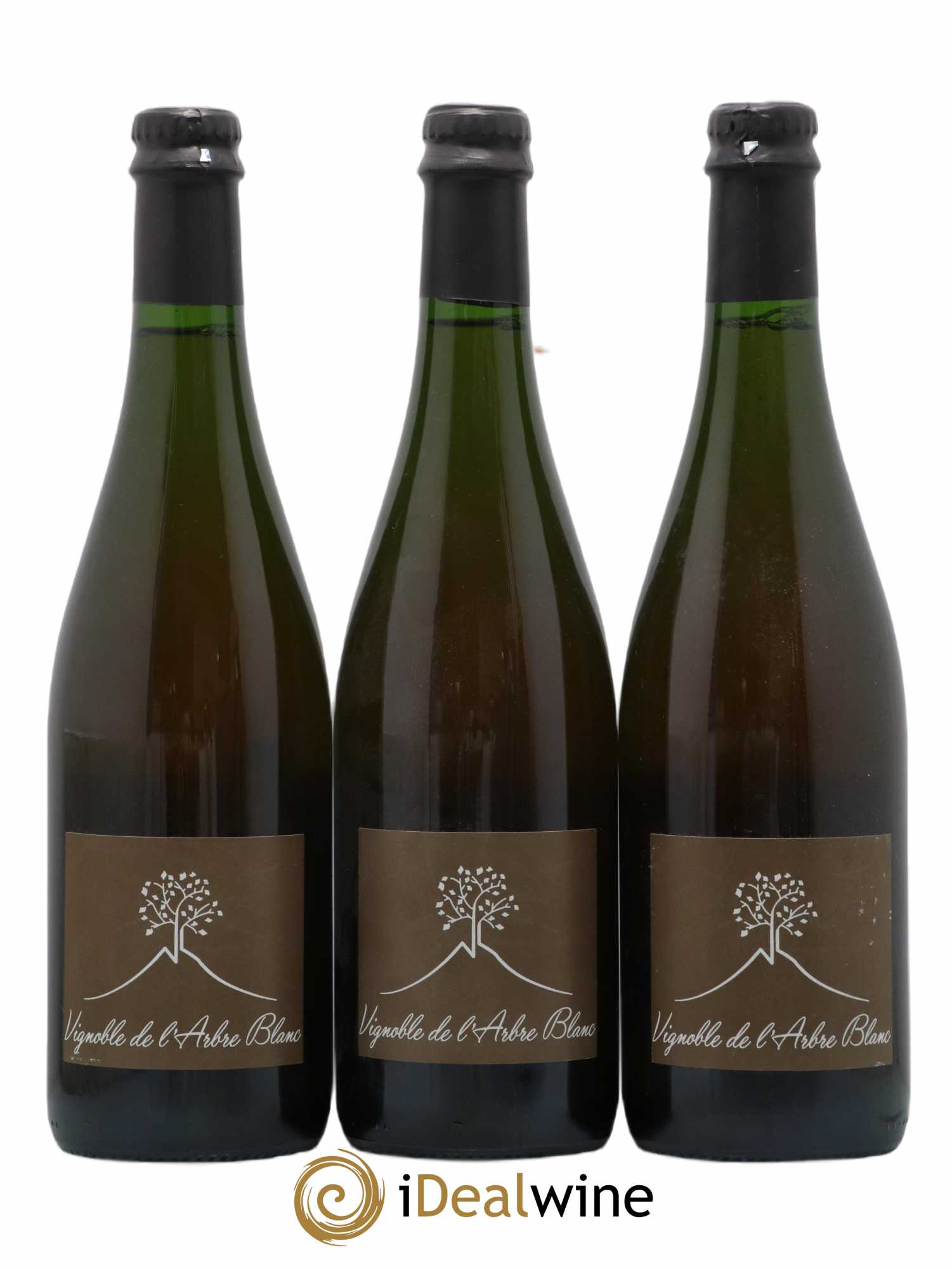 Vin de France Les Fesses Vignoble de l'Arbre Blanc 2017 - Lot de 3 bouteilles - 0