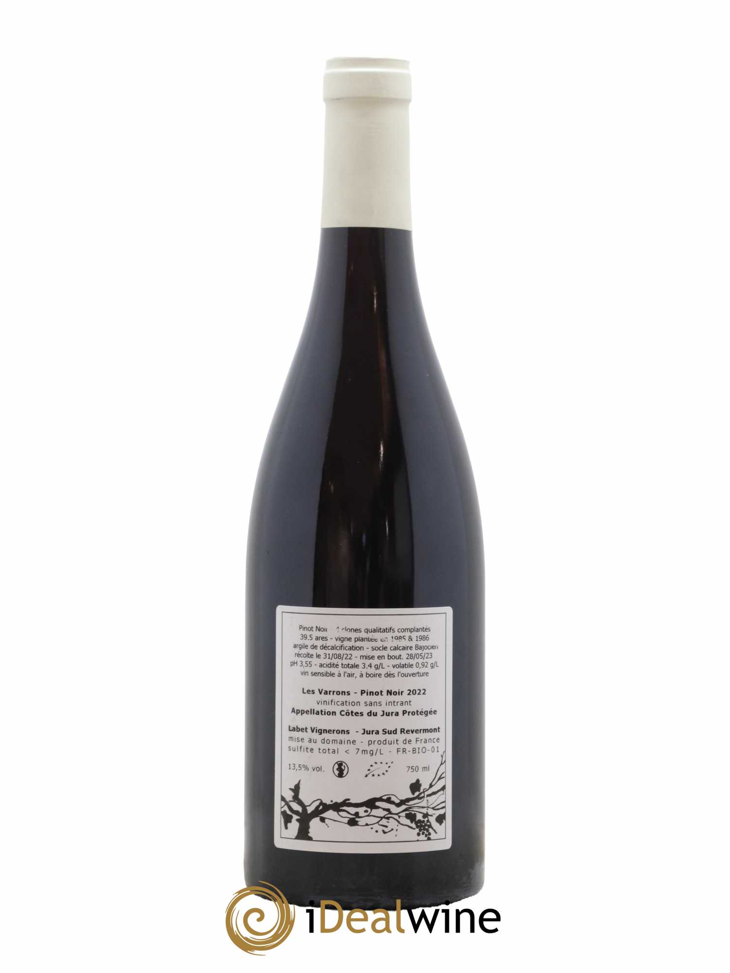 Côtes du Jura Pinot Noir Les Varrons Sélection Massale Romain - Julien - Charline Labet 2022 - Lot de 1 bouteille - 1