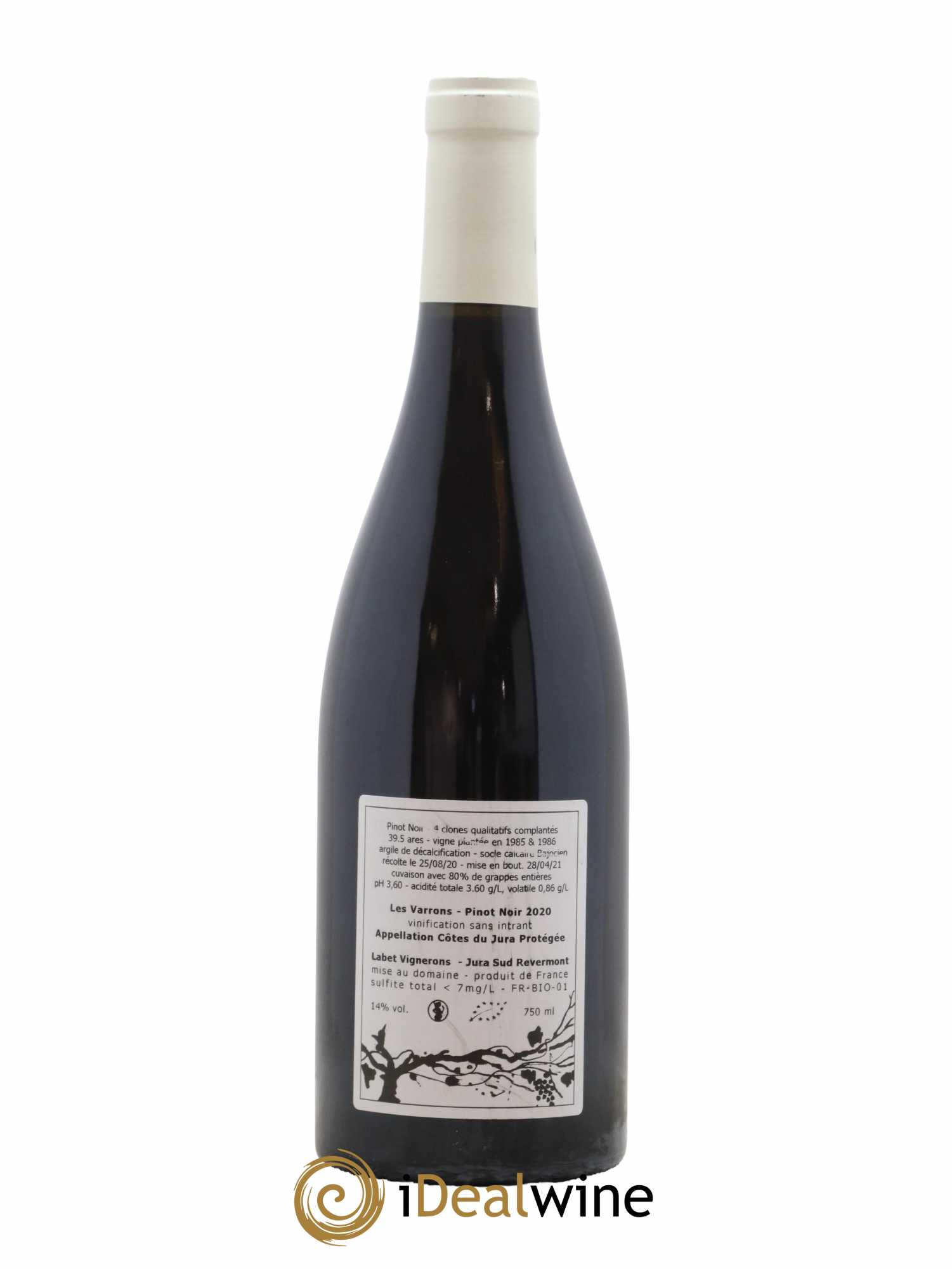 Côtes du Jura Pinot Noir Les Varrons Sélection Massale Romain - Julien - Charline Labet 2020 - Lot de 1 bouteille - 1