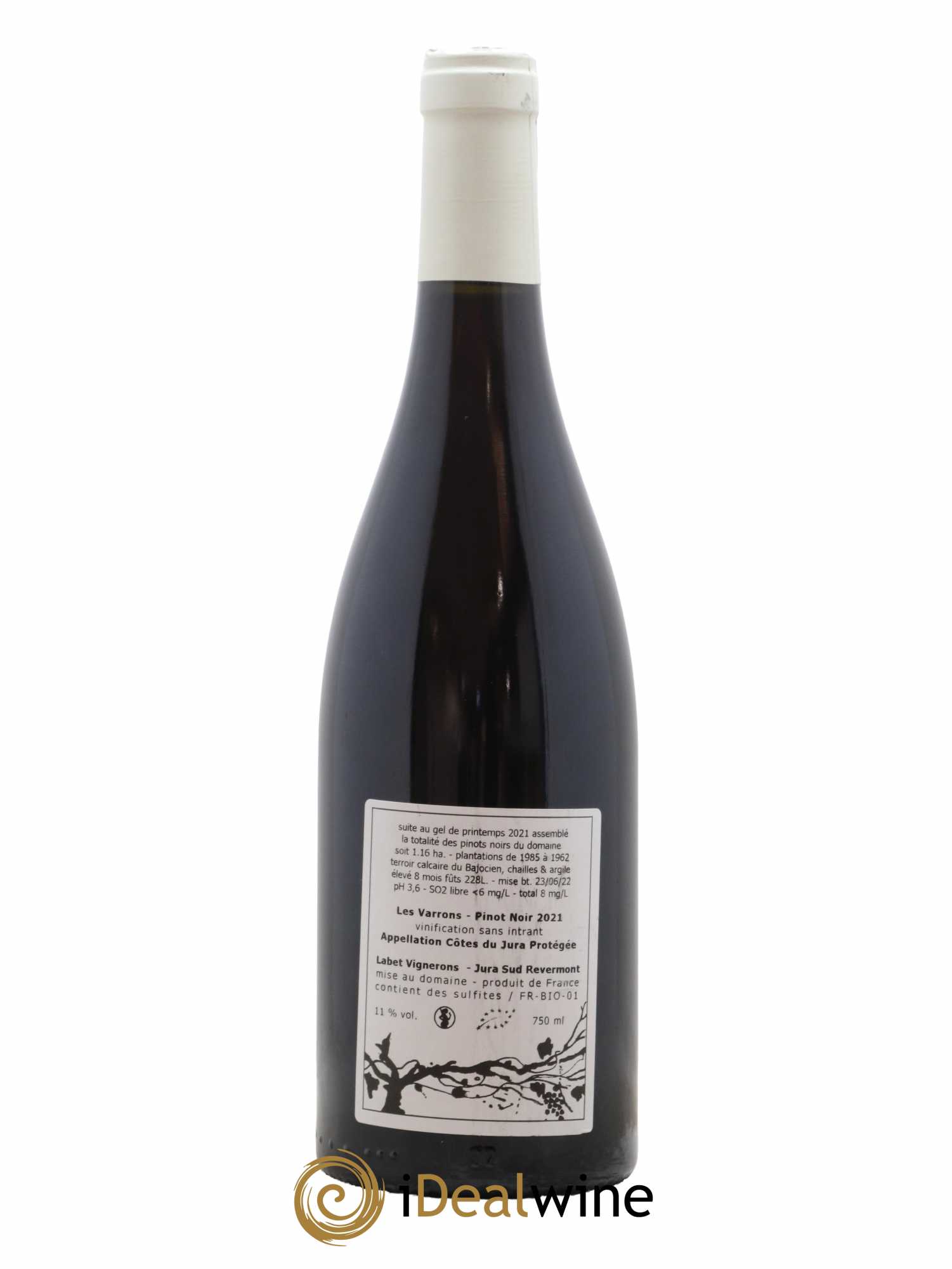 Côtes du Jura Pinot Noir Les Varrons Sélection Massale Romain - Julien - Charline Labet 2021 - Lot de 1 bouteille - 1