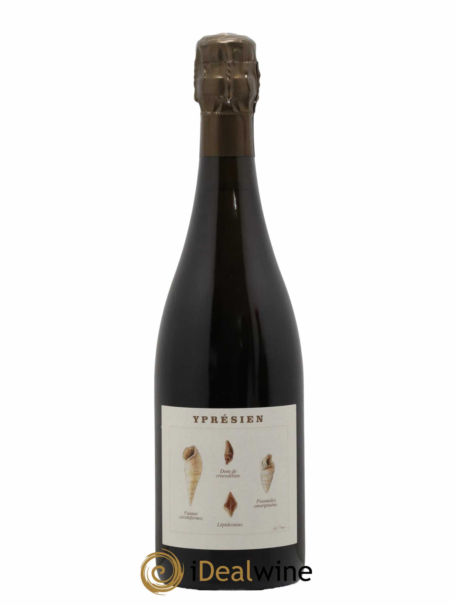 Yprésien Legrand Latour 2018 - Lot de 1 bouteille - 0