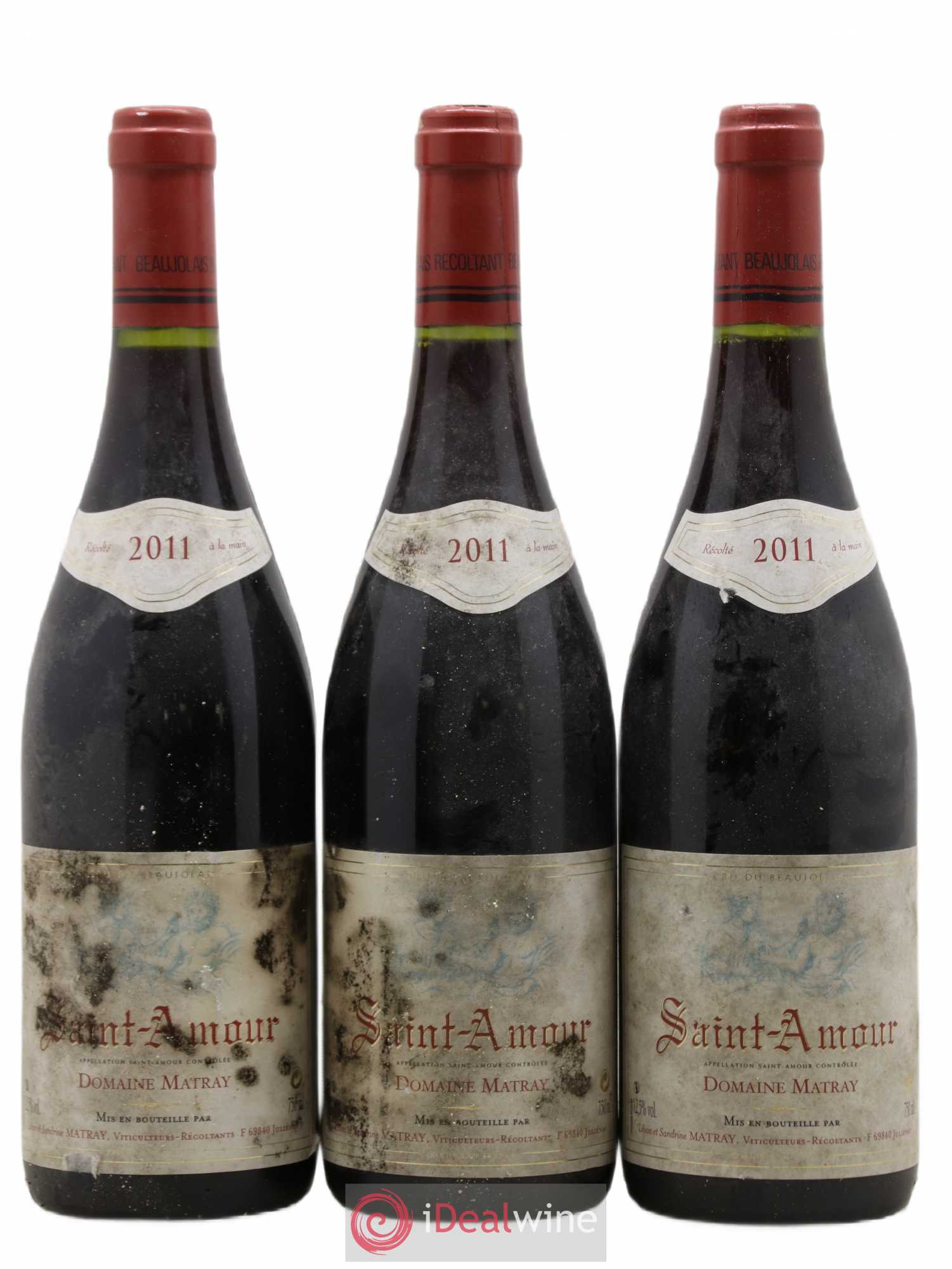 Saint-Amour Domaine Matray (sans prix de réserve) 2011 - Posten von 6 Flaschen - 1