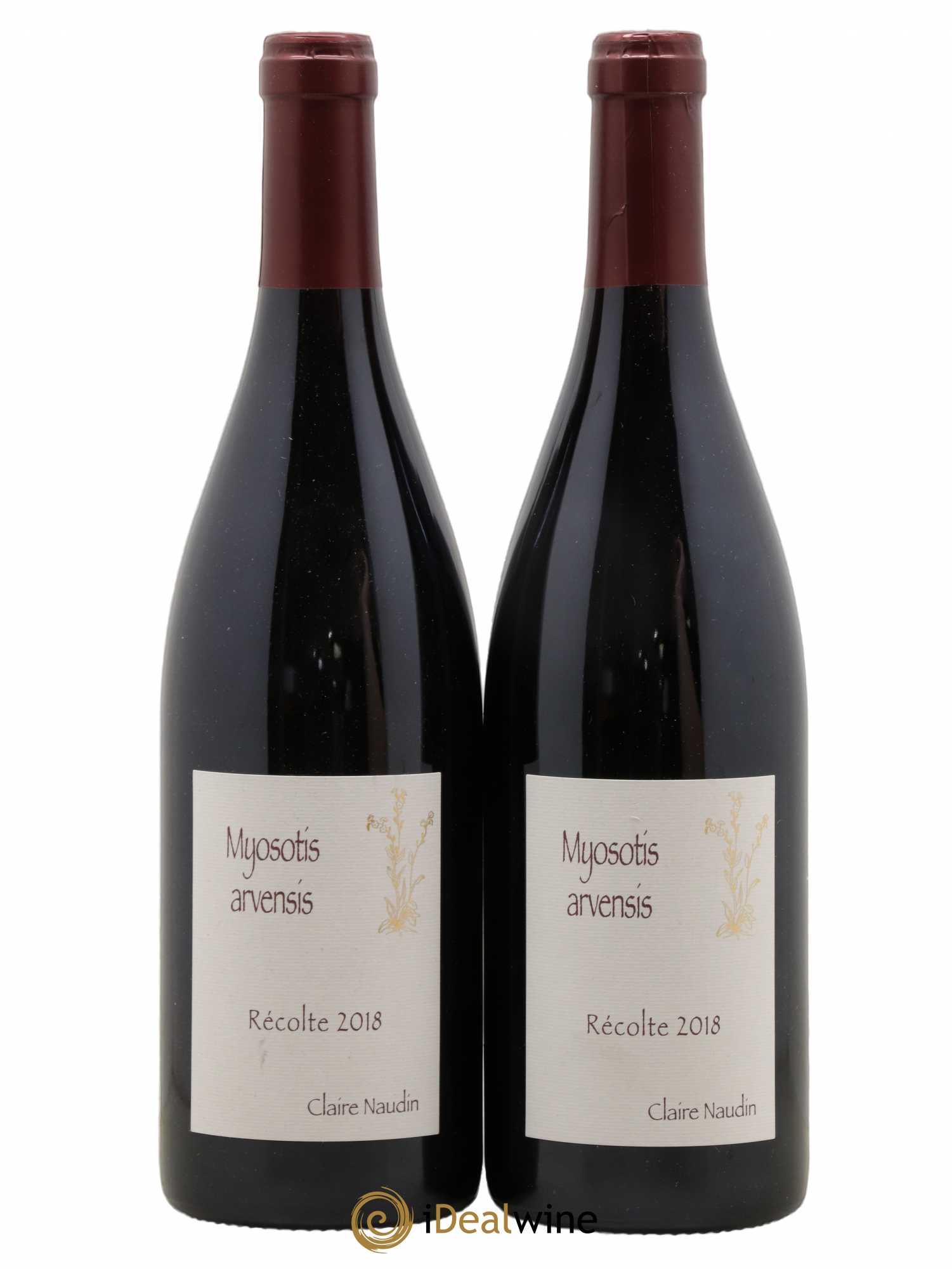 Hautes-Côtes de Nuits Myosotis Arvensis Naudin-Ferrand (Domaine) 2018 - Lot de 2 bouteilles - 0
