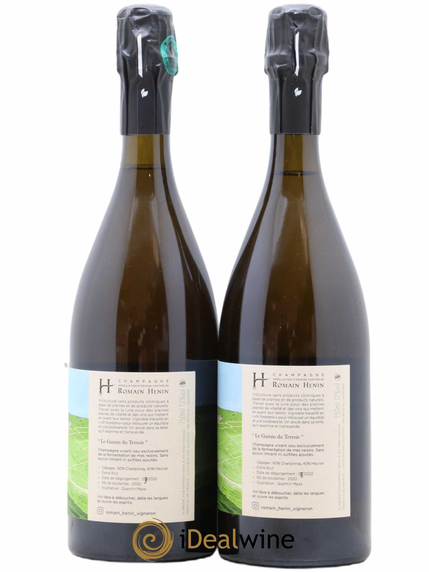 Gamin du Terroir Romain Henin 2020 - Lot of 2 bottles - 1