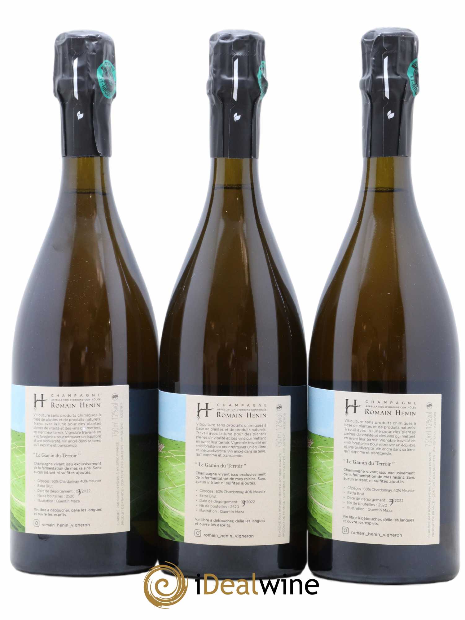 Gamin du Terroir Romain Henin 2020 - Lot of 3 bottles - 1