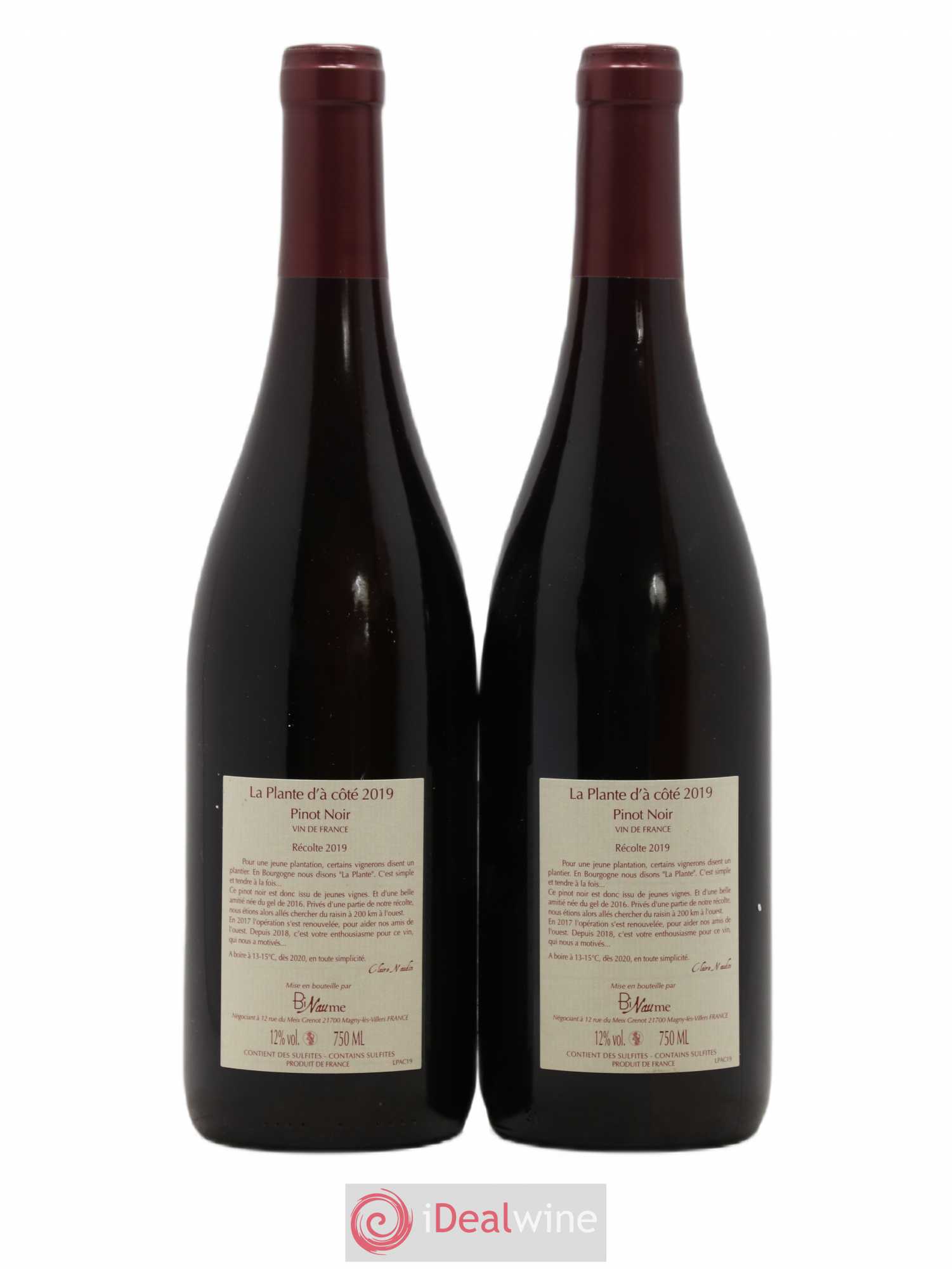 Vin de France La Plante d'à coté Domaine Binaume Bizot - Naudin 2019 - Posten von 2 Flaschen - 1