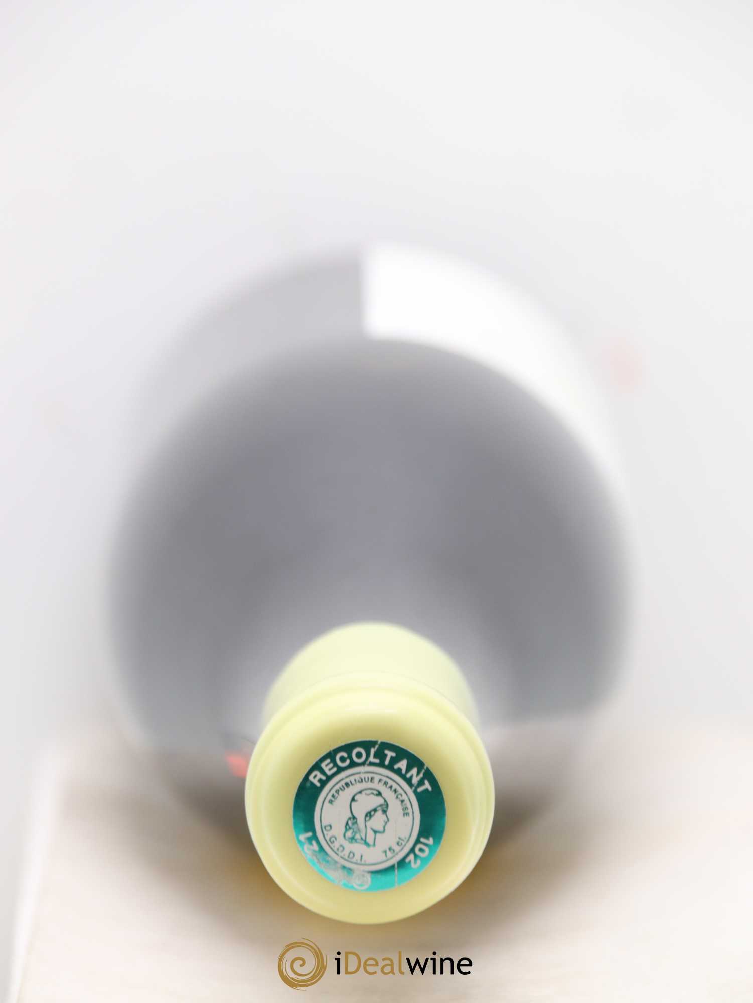 Bourgogne Aligoté Les Champs d'Argent Charles Lachaux 2019 - Lot de 1 bouteille - 2