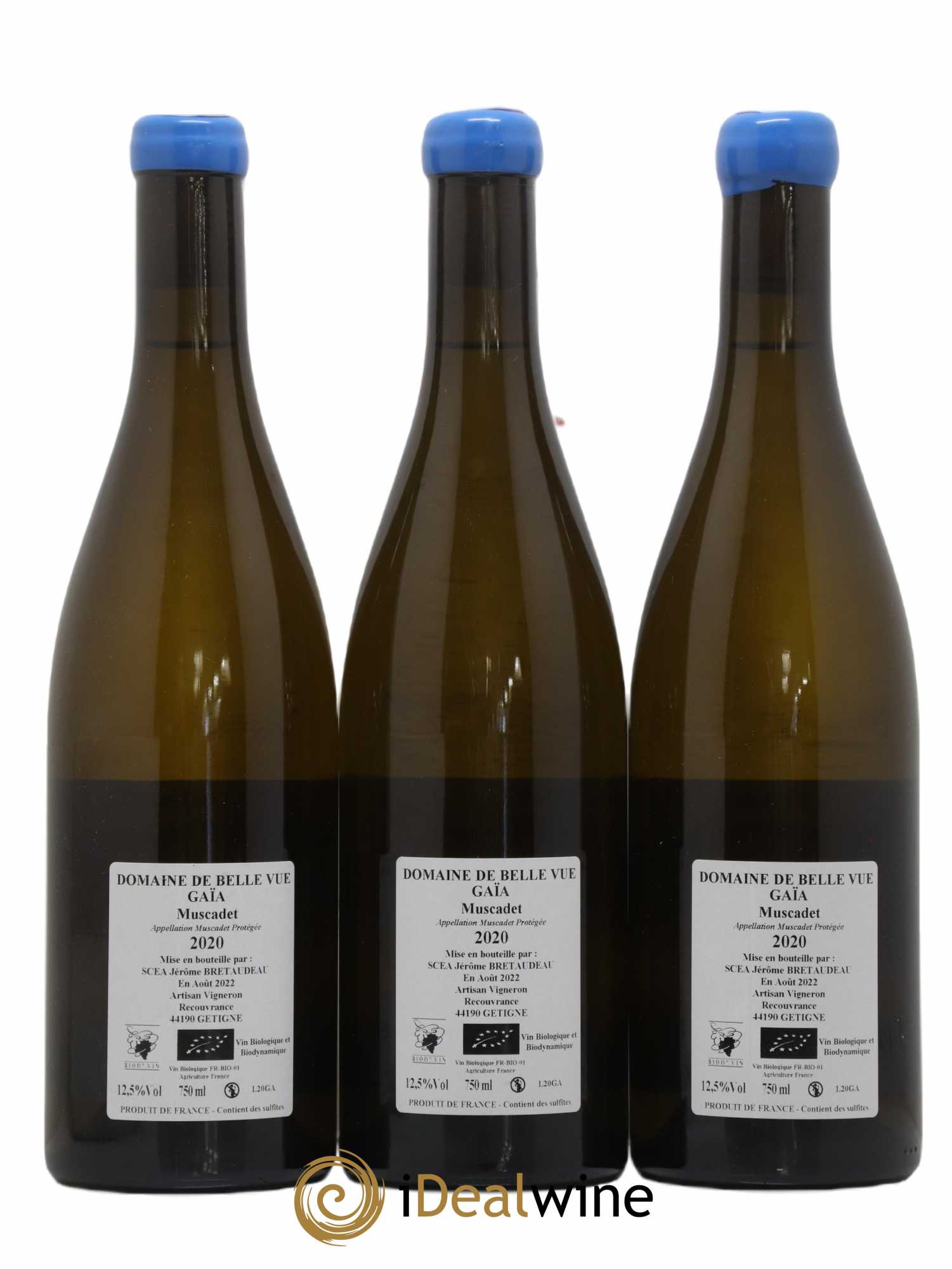 Muscadet-Sèvre-et-Maine Gaia Jérôme Bretaudeau - Domaine de Bellevue 2020 - Lot de 3 bouteilles - 1