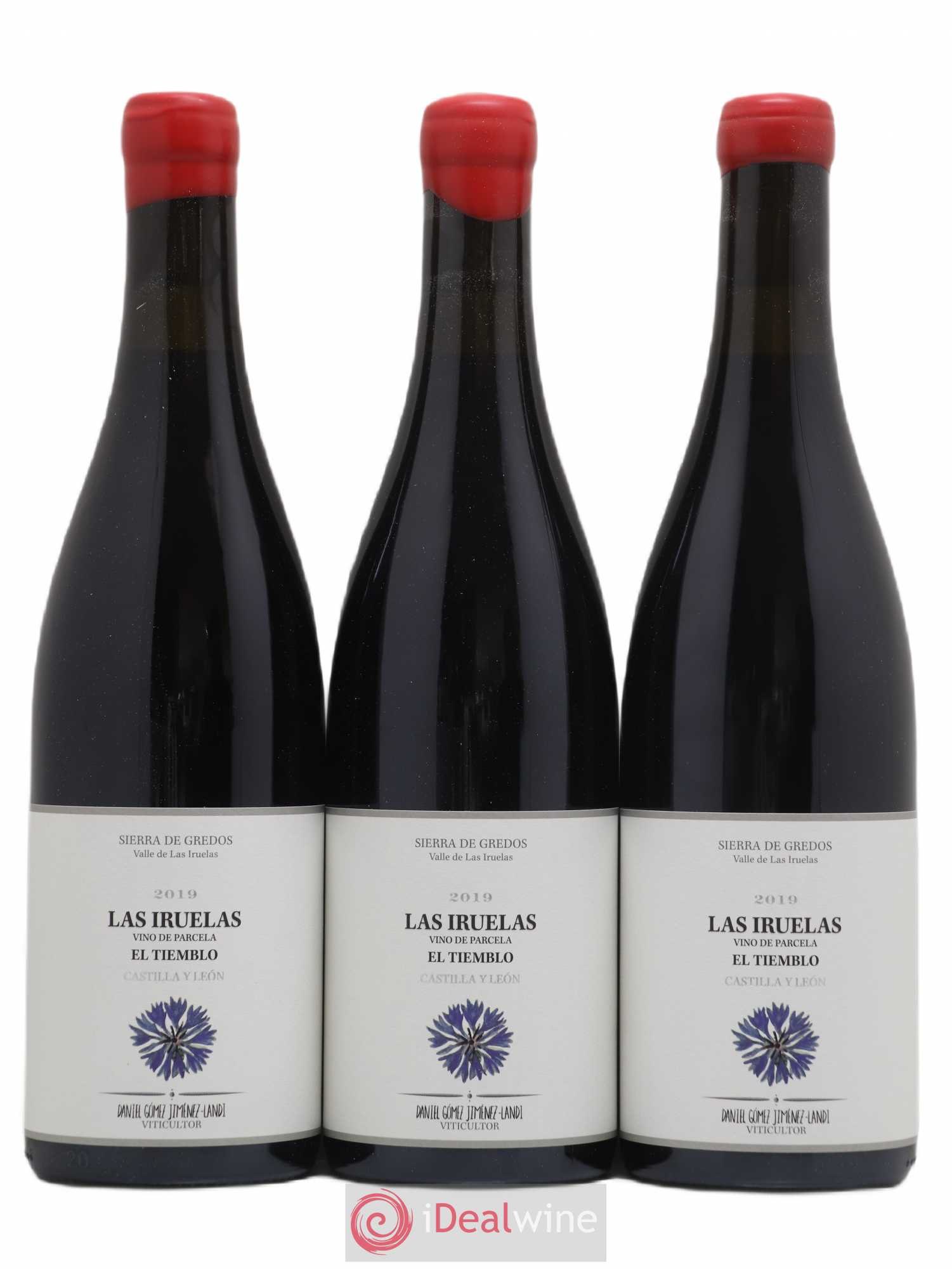 Castilla y Leon Las Iruelas El Tiemblo Daniel Gomez Jimenez-Landi 2019 - Posten von 3 Flaschen - 0