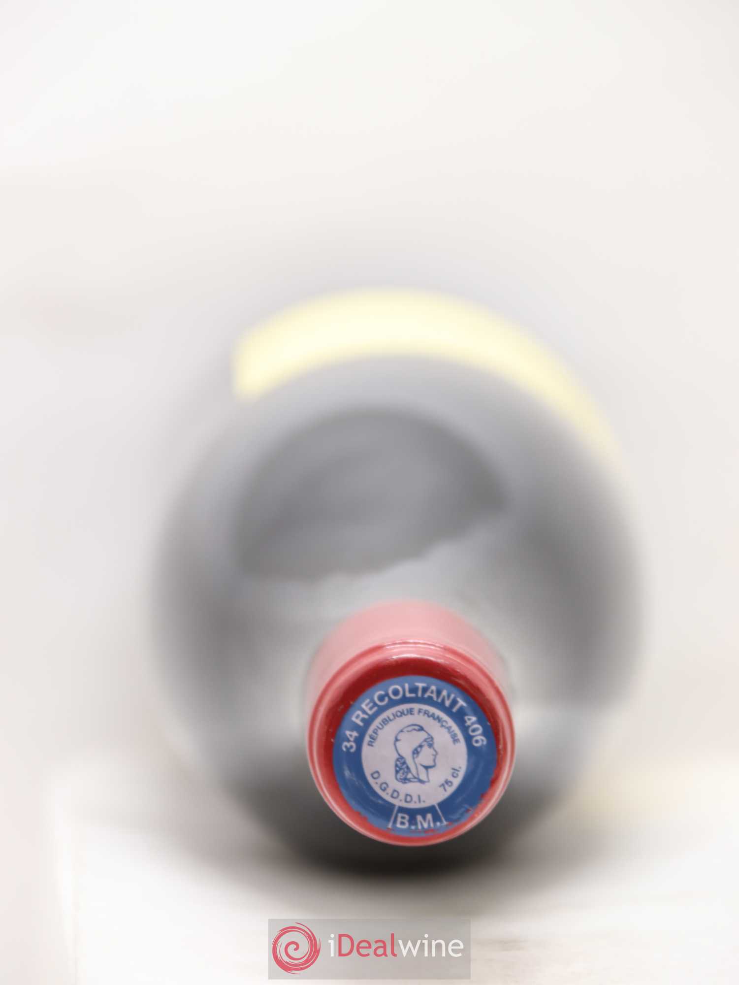 Pays d'Hérault Grange des Pères Laurent Vaillé 2004 - Lotto di 1 bottiglia - 1