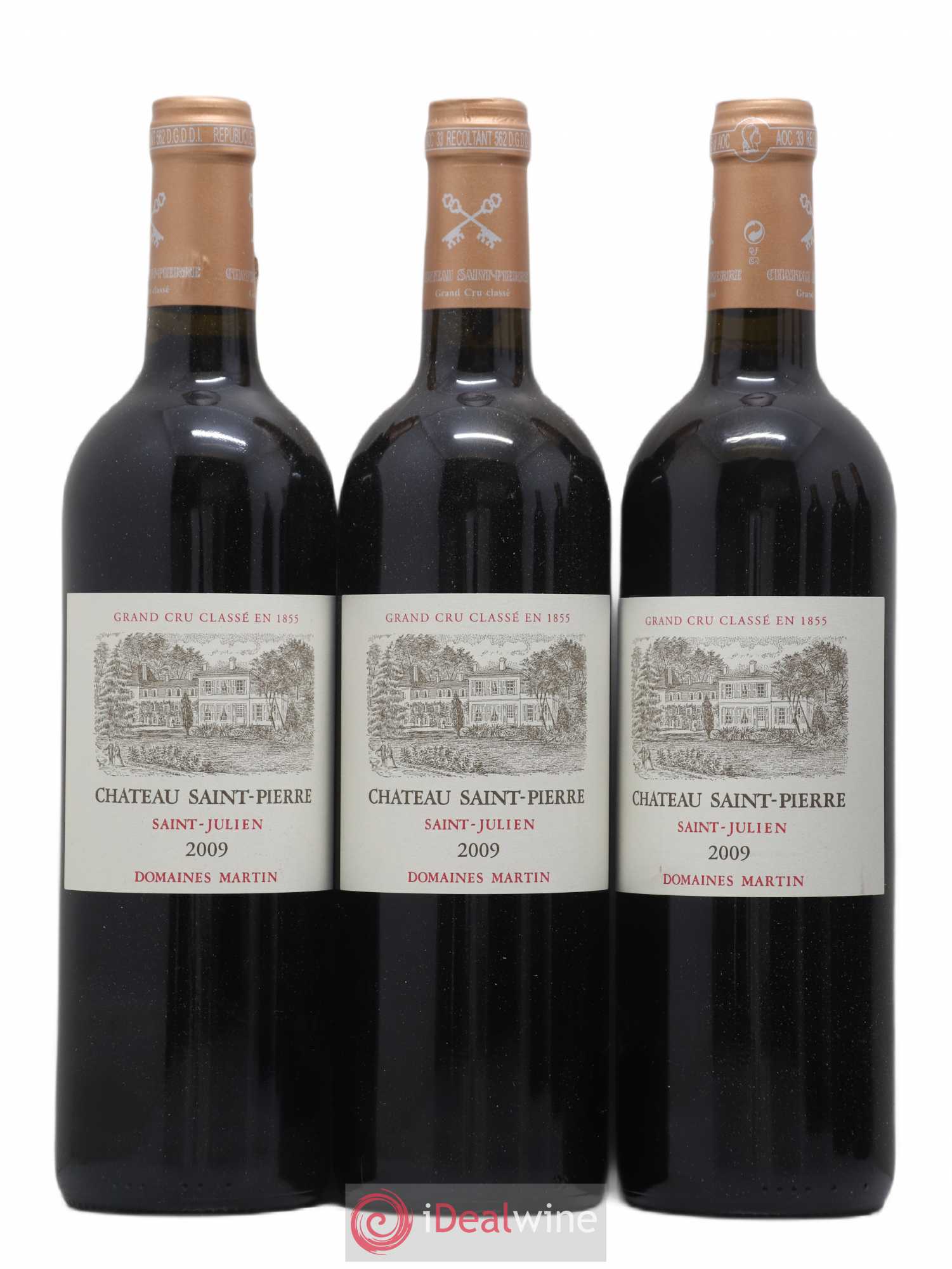 Château Saint-Pierre 4ème Grand Cru Classé 2009 - Lot de 6 bouteilles - 1