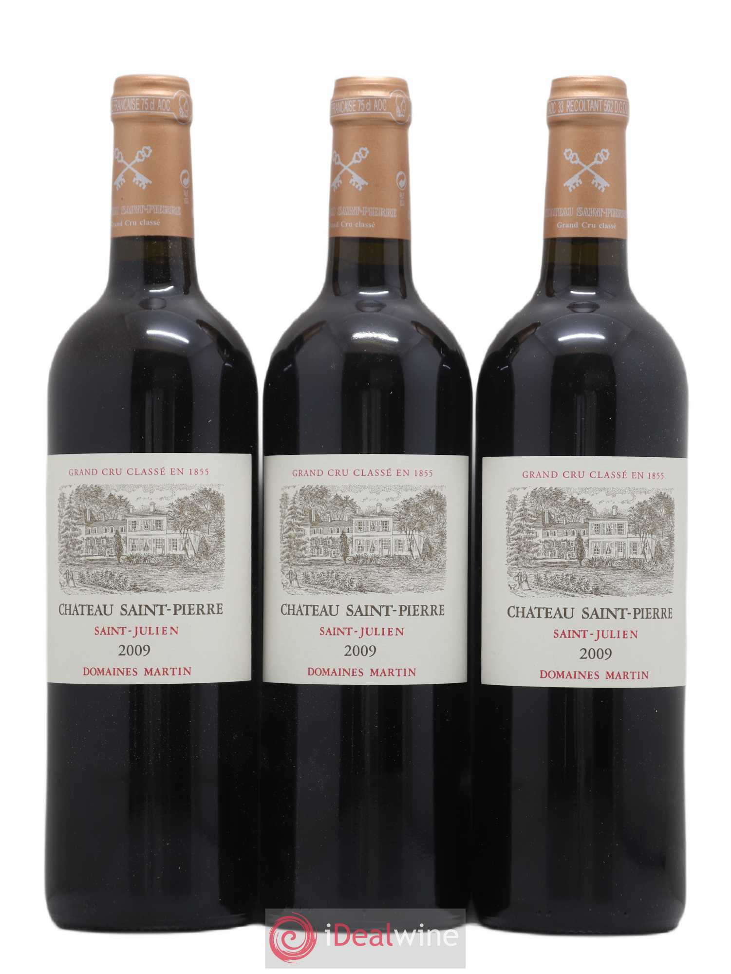 Château Saint-Pierre 4ème Grand Cru Classé 2009 - Lot de 6 bouteilles - 2