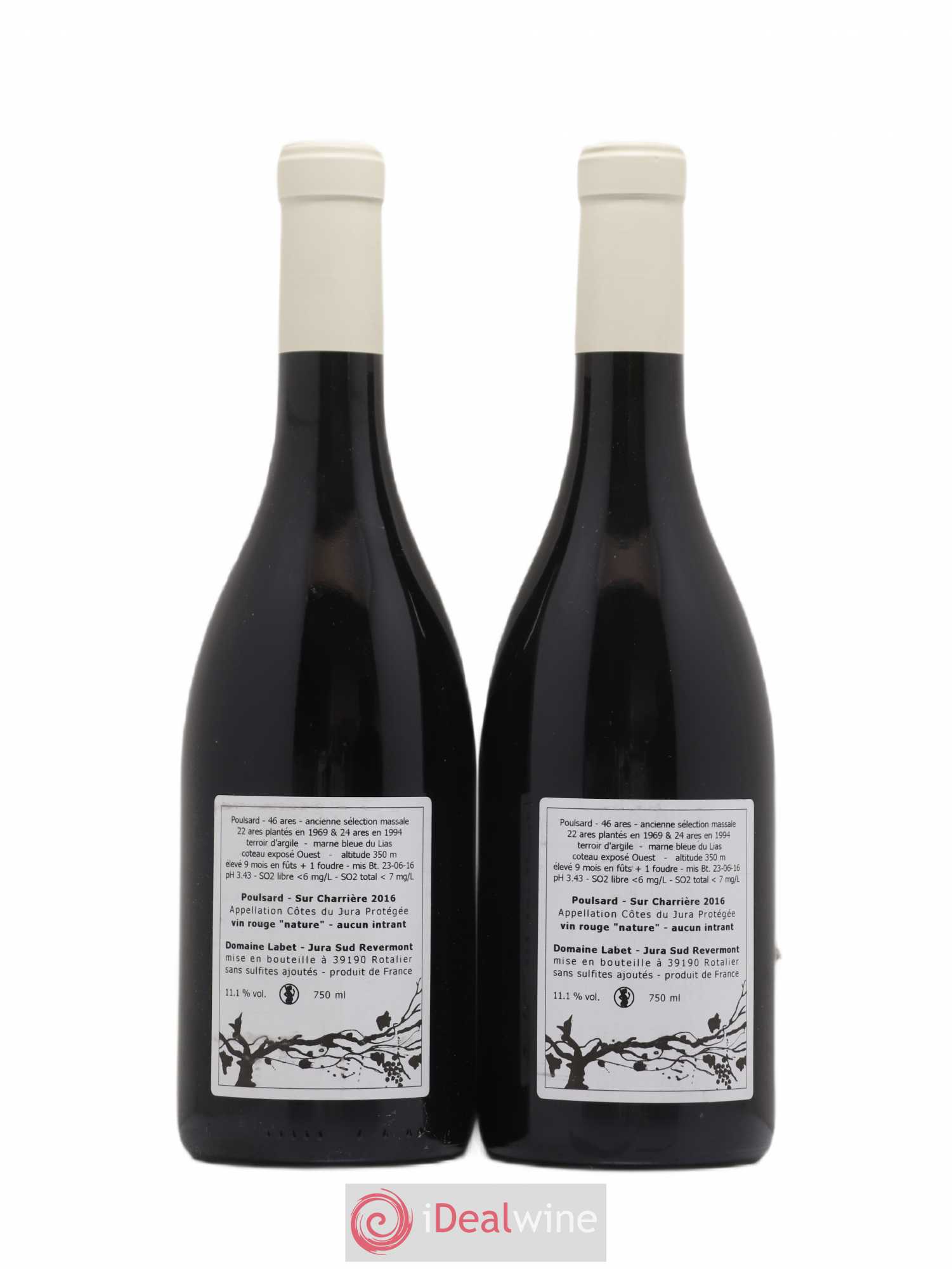 Côtes du Jura Poulsard Sur Charrière Romain - Julien - Charline Labet 2016 - Lot de 2 bouteilles - 1