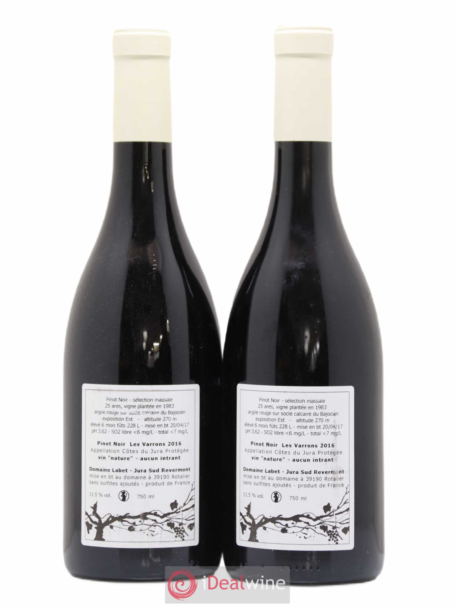 Côtes du Jura Pinot Noir Les Varrons Sélection Massale Romain - Julien - Charline Labet 2016 - Lot de 2 bouteilles - 1