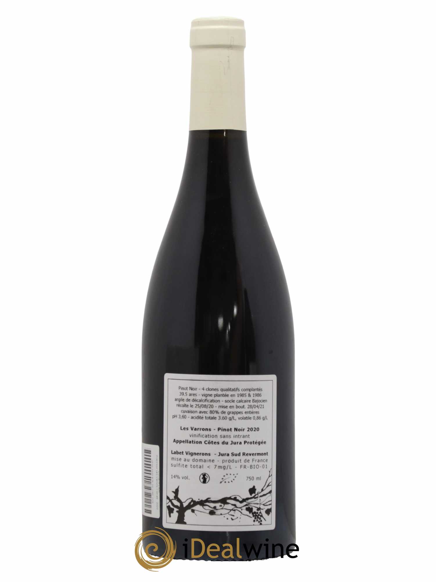 Côtes du Jura Pinot Noir Les Varrons Sélection Massale Romain - Julien - Charline Labet 2020 - Lot de 1 bouteille - 1