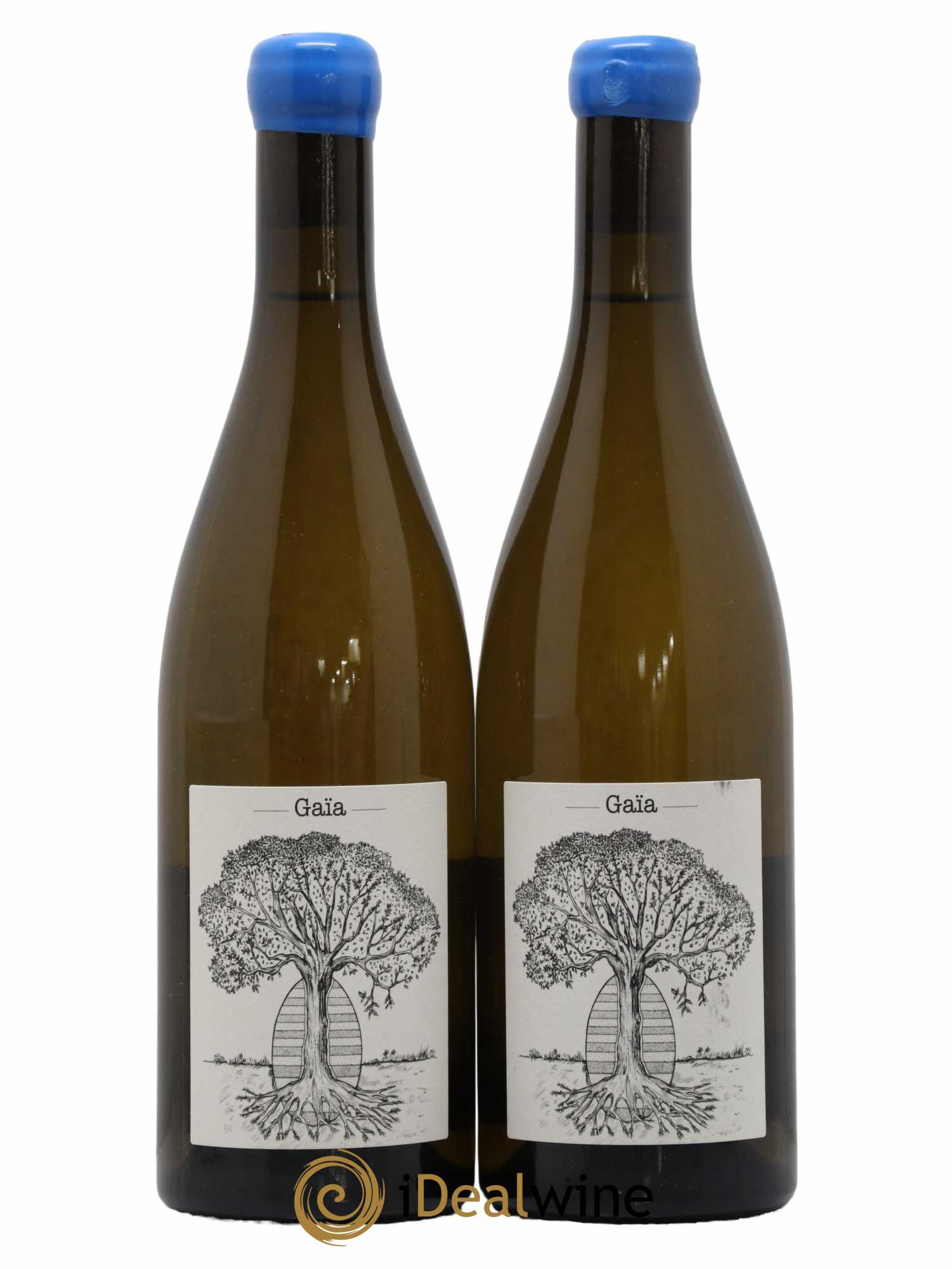 Muscadet-Sèvre-et-Maine Gaia Jérôme Bretaudeau - Domaine de Bellevue 2020 - Lot de 2 bouteilles - 0