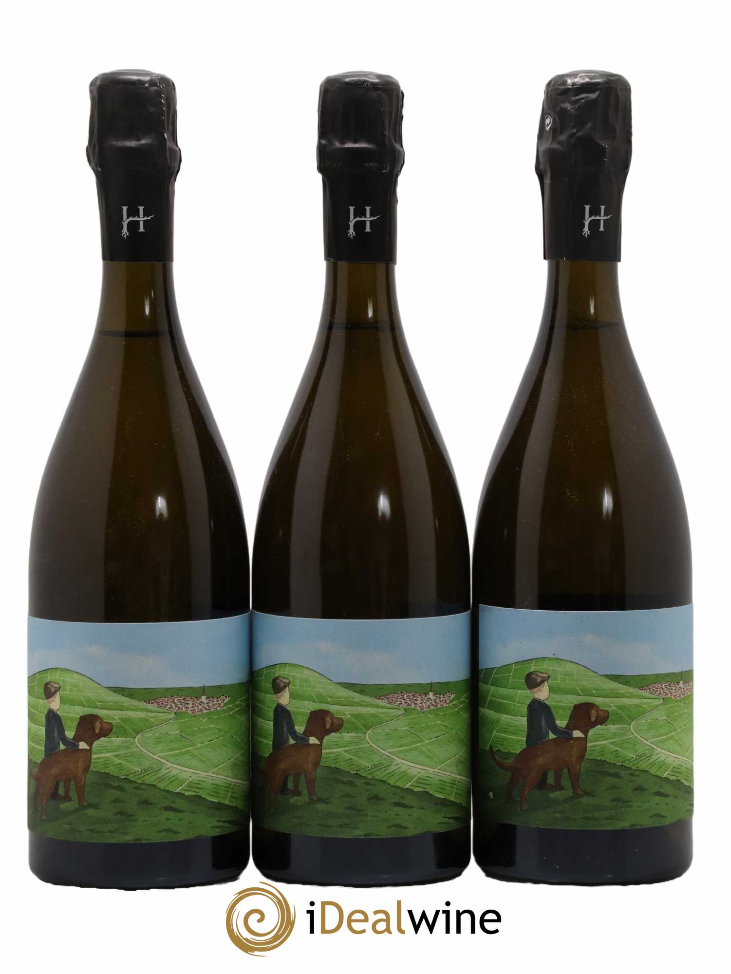 Gamin du Terroir Romain Henin - Lot de 3 bouteilles - 0