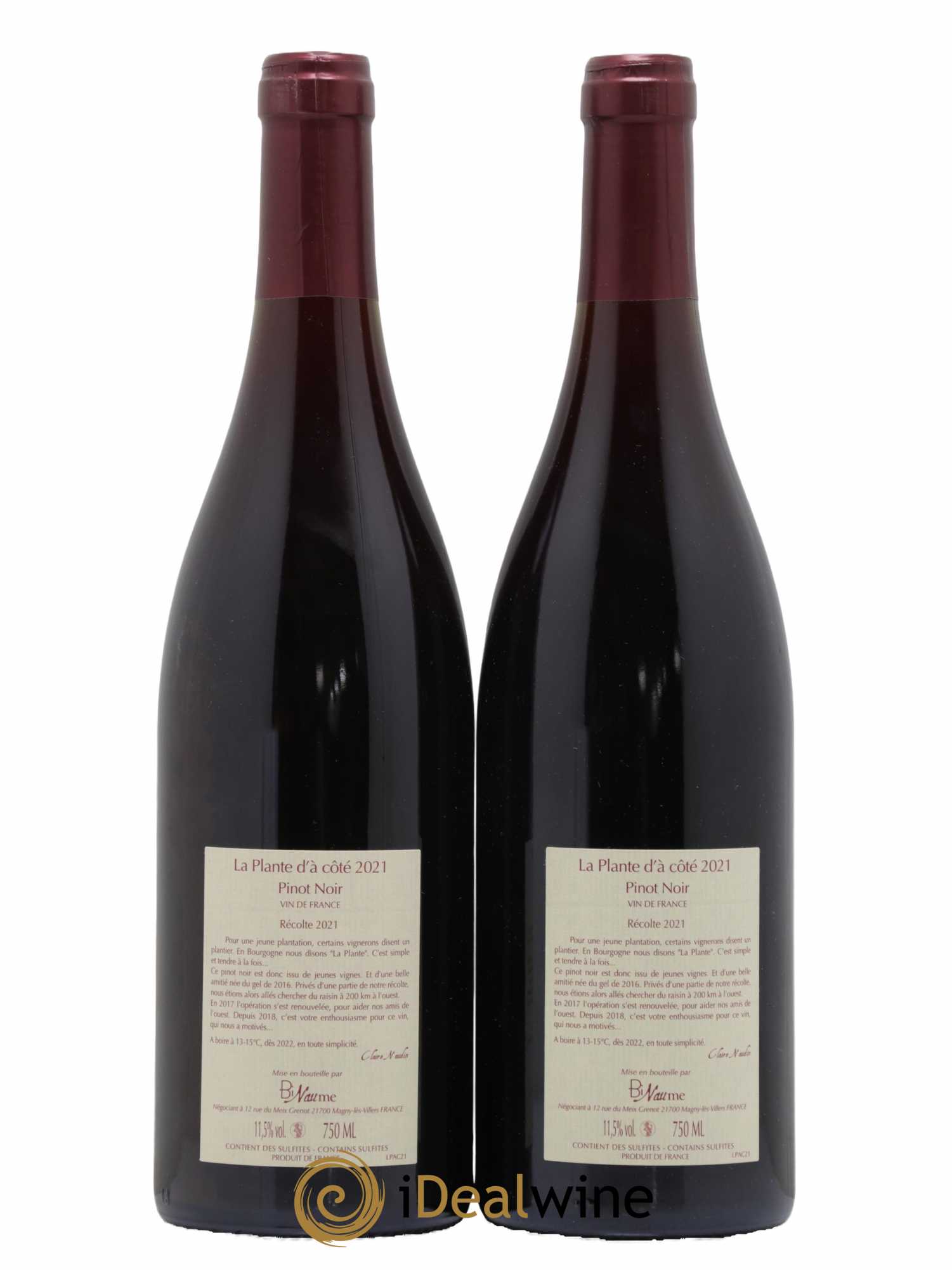 Vin de France La Plante d'à coté Binaume Bizot-Naudin  2021 - Lot de 2 bouteilles - 1