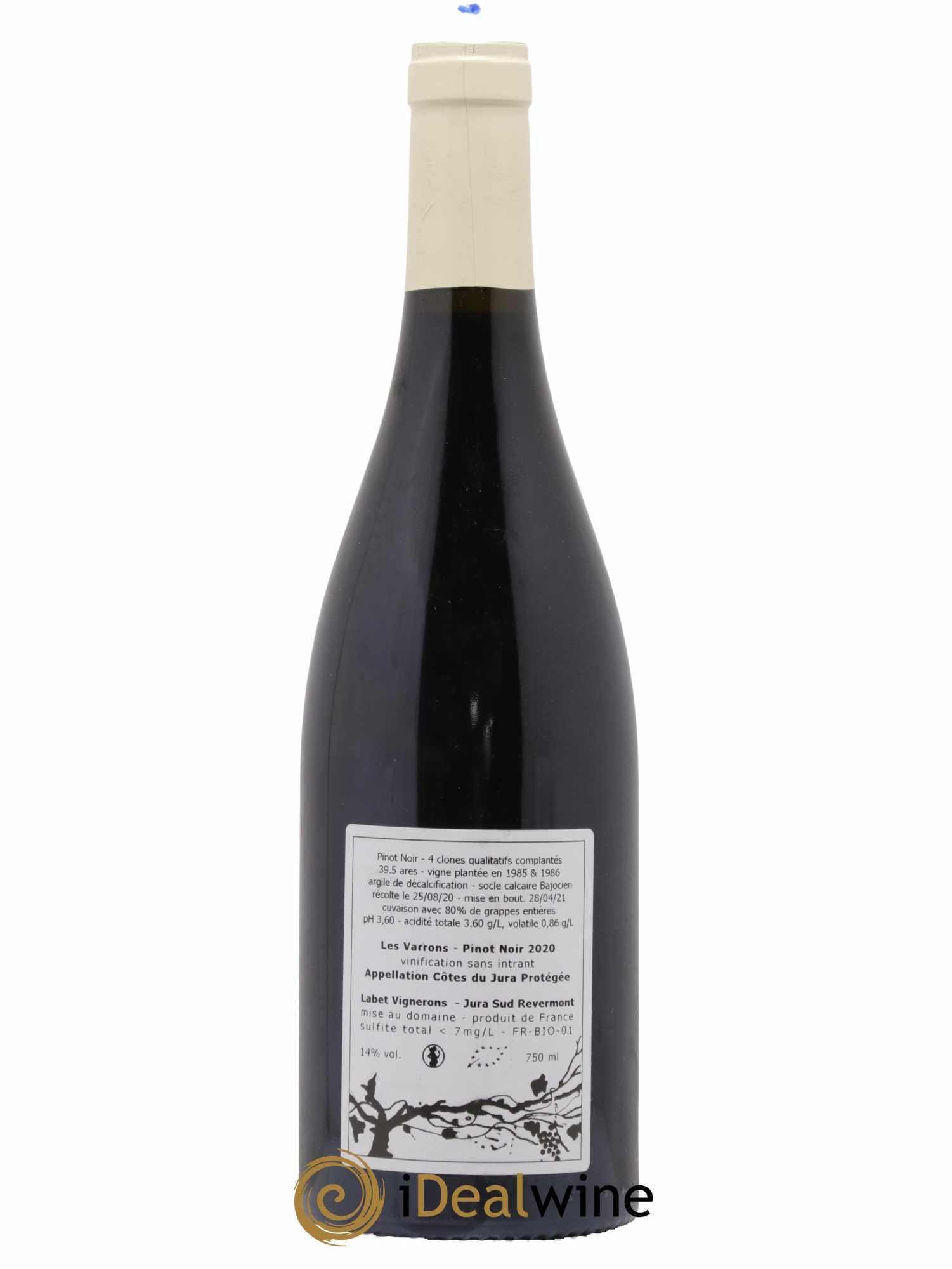 Côtes du Jura Pinot Noir Les Varrons Sélection Massale Romain - Julien  - Charline Labet  2020 - Lot de 1 bouteille - 1