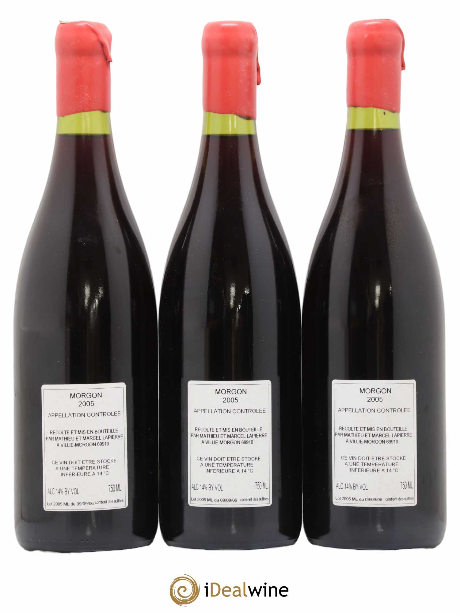 Morgon Cuvée Marcel Lapierre Marcel Lapierre (Domaine) 2005 - Lot de 3 bouteilles - 1