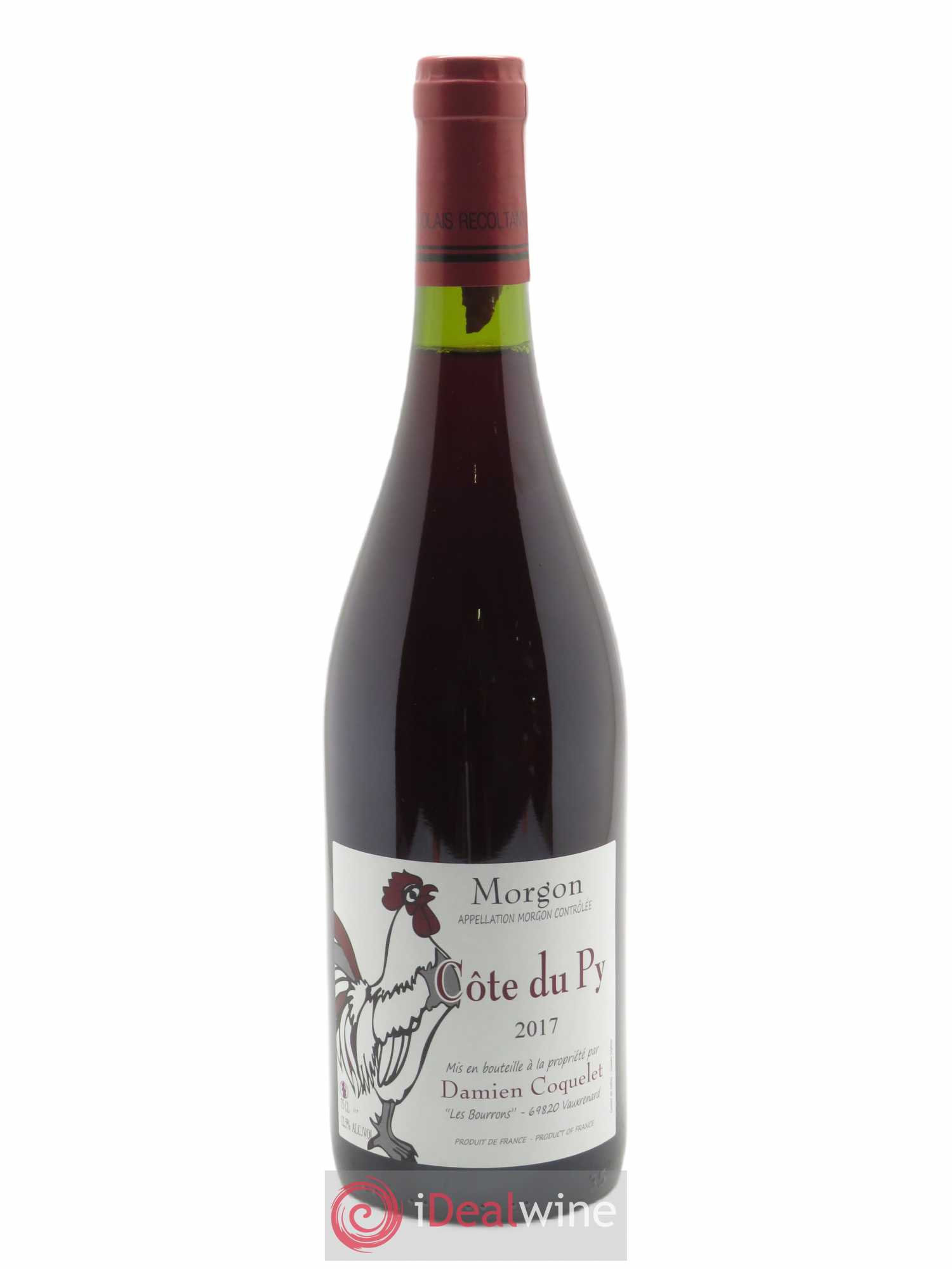 Morgon Côte du Py Damien Coquelet 2017 - Lot of 1 bottle - 0